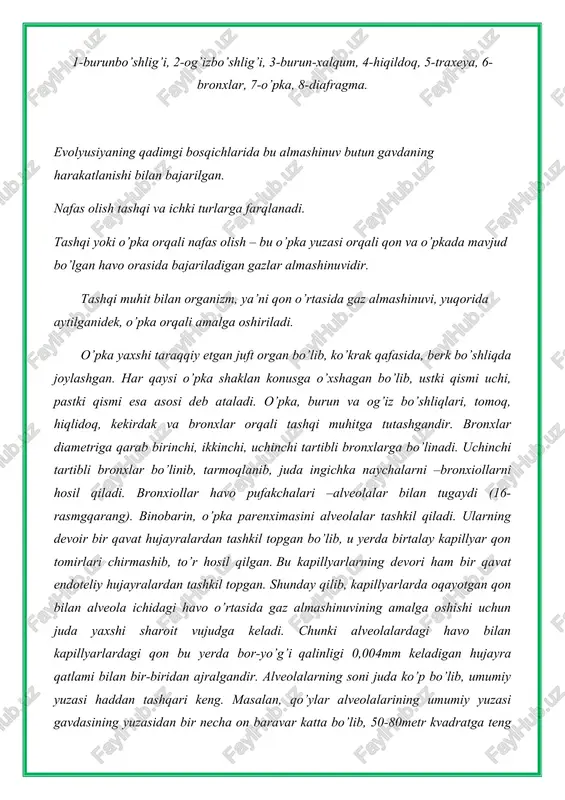 ishda havo kirishi va undan tashqariga to’xtovsiz havo chiqib turishi kerak. buning uchun esa u doimo to’xtovsiz ravishda kengayib va torayib turishi zarur. o’pkaning o’zida uning kengayib torayib turishini ta’minlay oladigan xususiy muskulatura yo’q. ammo u ko’krak qafasining berk bo’shlig’ida joylashganligi sababli, ko’krak qafasi kengayganda kengayadi, torayganda esa torayadi, qisiladi. shu tariqa o’pka ko’krak qafasining faol faoliyatiga ergashib, passiv harakat qiladi. o’pkaning ko’krak qafasi faol harakati ketidan shu tariqa passiv harakat qilishiga sharoit, hayvon tug’ilishi zahotiyoq paydo bo’ladi. gap shundaki, ona qornida rivojlanish davrida bola o’pkasi hali ishlamay turadi, qaburg’alarning boshchalari umurtqalarning tegishli chuqurchalariga tushmagan, natijada ko’krak qafasi salgina yassilashib qisilgan bo’ladi, shu sababli o’pka ko’krak qafasi bo’shlig’ini boshdan-oyoq to’lg’izib turadi. bola bilan ona organizmi o’rtasida moddalar almashinuvi, jumladan, gaz almashinuvi platsenta orqali amalga oshadi. bola tug’ilganida kindigi uzilgan zahoti bola bilan ona o’rtasidagi aloqa uziladi. natijada bola qonida karbonat angidrid miqdori oshib ketadi (chunki odatda platsenta orqali ona organizmiga …