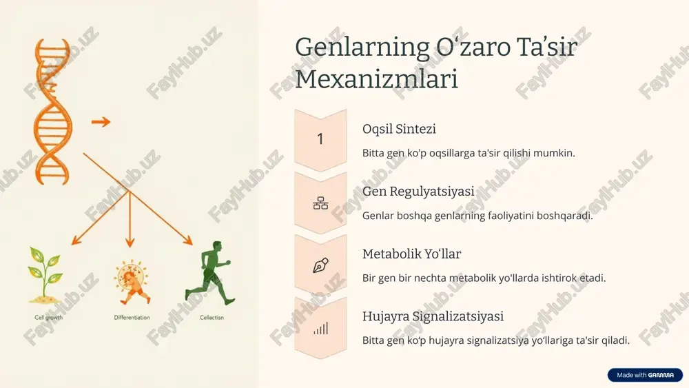 odam pleyotrop genlarining o‘zaro ta’siri - Page 3