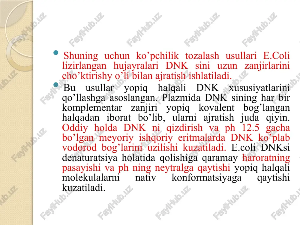 o’stirilgan kulturadan foydalaniladi. agar plazmid vektorlar hujayrada replikatsiya bo’lib nusxalansalar, ularni kulturadan ko’p miqdorda ajratib olish mumkin. ularni suyuq ozuqa muhitida 18 soat qoldirib, keyin ajratib olish mumkin ishlatilayotgan vektor nazoratsiz replikatsiyalansa, uni bir soatga xloram-fenikolli muhitda inkubatsiya qilinadi. xloramfenikol xo’jayin hujayrada oqsil sintezini ingibirlaydi va bakteriya xromosomasi replikatsiyasini buzadi. plazmid dnkni ajratib olishning ko’p usullari plazmidning kavalentli yopiq xalqali formasiga va bakteriya xramasomasiga nisbatan kichik hajmda bo’lishligiga asoslangan. bakteriya xujayrasi sentrifuga qilish orqali yig’iladi va hujayra devorini buzish uchun lizotsim va edta dan foydalaniladi. ulardan tashqari organik suyuqliklardan, isitishdan va ionsiz detergentlardan foydalanish mumkin hujayra bo’laklari va bakteriya xromosomasi lizisdan keyin sentrifuga qilish orqali yo’q qilinadi. xoh katta, xoh kichik hajmli kulturalar bilan ishlashda ishqoriy lizis metodi tashkil qilingan. ishqoriy muhitda ifloslangan plazmid dnksi, rnk va oqsillar, xromosoma dnk oqsillari cho’kmaga tushadi. bu usulda olingan plazmid dnk restriksion endonukleazalar bilan qayta ishlashda va keyinchalik klonlashda yetarlicha toza hisoblanadi. ajratib …