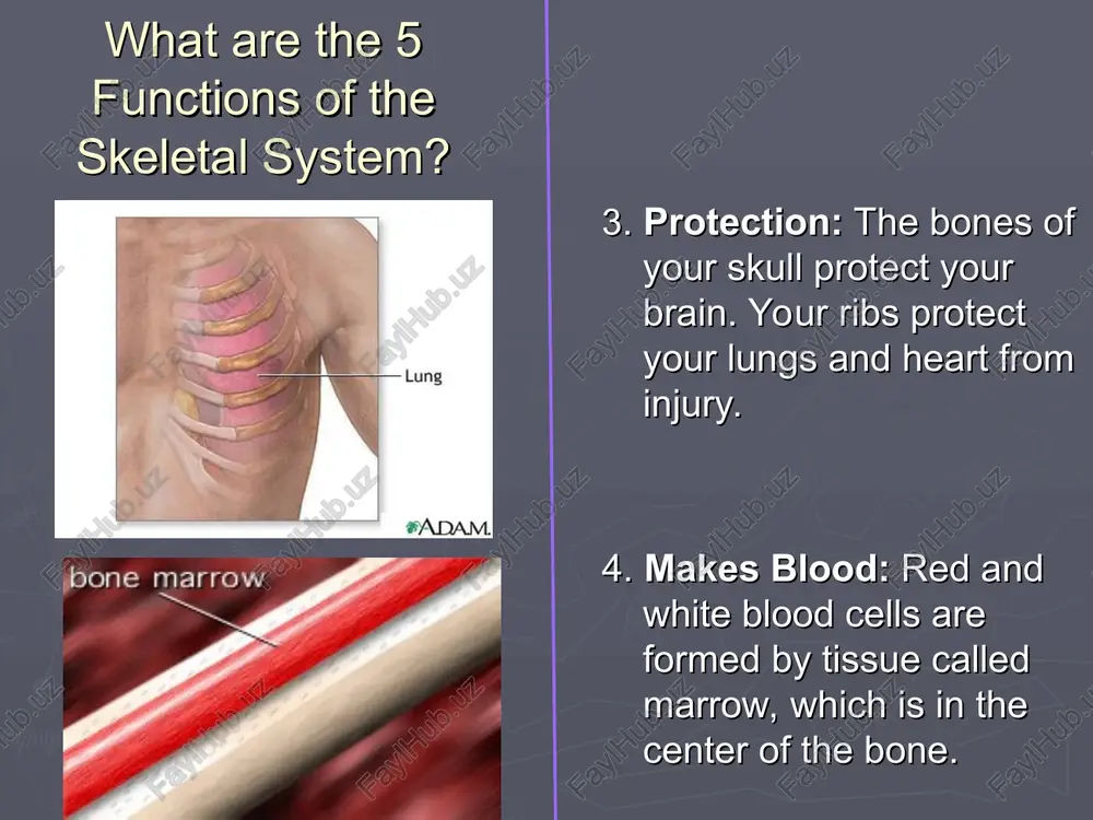 ly within another bone. ex. shoulder and hip allows the greatest range of motion. the ball-and-socket joint allows you to swing your arm freely in a circle. what is a hinge joint? movement in one direction like a door. ex. knee and elbow allows forward or backward motion. what is a pivot joint? bone resting atop another bone permitting free movement. ex. neck, wrist and ankles allows one bone to rotate around another. allows you to turn your head what is a gliding joint? allows one bone to slide over another. ex. knuckles, wrist, ankle allows your to bend and flex as well as make limited side to side motions. what is a ligament? connects bone to bone. what is a tendon? attaches muscles to bones. i 7 cerca vertebrae 12 thora wetebae stumbar vertebrae bone marrow calcium helps build dense bones — pie dks proximal epiphysis wd distal epiphysis …