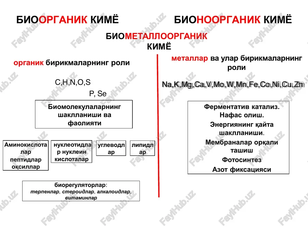 adler (1) biomolekulalar kimyoviy reaction qobiliyatiga ko’ra turli funktsiyalarni bajarishi mumkin (aminokislotalar - oqsillarning qurilish bloklari) (2) biomolekulalar o'ziga xos arxitekturaga ega; ular strukturaviy to'ldiruvchilik tamoyiliga bo'ysunadigan o'ziga xos kimyoviy tuzilishga ega (substrat-fermentativ kompleksi) (3) zaif kuchlar (bog'lar) biologik tuzilmalarni hosil qiladi va biomolekulyar o'zaro ta'sirlarni aniqlaydi (oqsillar tuzilishidagi vodorod aloqasining roli) (4) biomolekulalar axborotni tashiydi (dnk) biogen elementlar l.p.vinogradov tirik moddadagi elementlarning kontsentratsiyasi ularning birikmalarining eruvchanligini hisobga olgan holda atrofdagi tarkibiga bevosita mutanosibdir, deb hisoblagan. a.p.vinogradovning fikriga ko'ra, organizmning kimyoviy tarkibi atrof-muhit tarkibi bilan belgilanadi. biosferada 100 milliard tonna tirik moddalar mavjud. er qobig'ining massasining taxminan 50% kislorod, 25% dan ko'prog'i kremniydir. o'n sakkiz element (o, si, al, fe, ca. na, k, mg, h, ti, c, p, n, s, cl, f, mn, ba) er po'stining 99,8% massasini tashkil qiladi. . • organizmdagi ba'zi elementlarning miqdori atrof- muhit bilan taqqoslaganda ko'proq – bu elementning biologik kontsentratsiyasi deb ataladi. masalan, er …