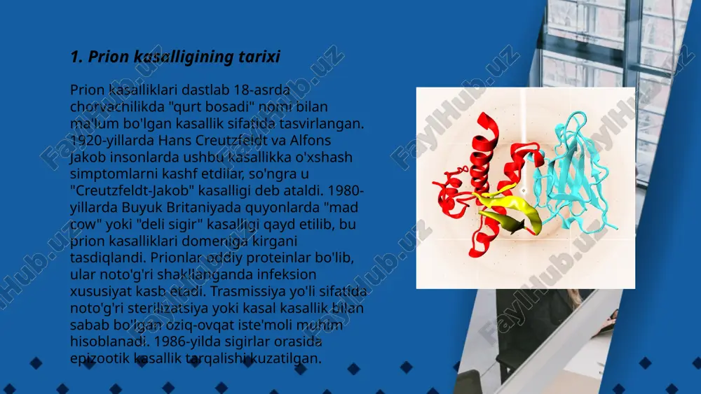 haroratda 18 daqiqa davomida avtoklavlash kerak. shuningdek, ular maxsus kimyoviy moddalarga, masalan, guanidin gidroxlorid va natriy gipoxloritga nisbatan bardoshliligini yo'qotadilar. tuproq va atrof-muhitda prionlar bir necha yilgacha saqlanib, hayvonlarning oziqlanishi orqali kasalliklarni tarqatishi mumkin. o'zining barqaror tuzilishi tufayli prionlar biologik xavf sifatida ko'rib chiqiladi. ... t.me/slaydai_bot 7. prion kasalliklarining simptomlari prion kasalliklari asosan asab tizimini ta'sir etuvchi kam uchraydigan va halokatli kasalliklardir. ularning simptomlari quyidagicha: asta-sekin rivojlanadigan demensiya, xotira buzilishlari, harakatlarda muvozanatni yo'qotish, mushaklarning nazoratsiz tortishishi, holsizlik, ko‘rish qobiliyati yomonlashishi va nutq bilan bog'liq muammolar. kasallikning rivojlanishi odatda tez va bir necha oy ichida yomonlashadi. ba'zi hollarda, bemorlarda ruhiy o'zgarishlar, asabiylik va depressiya ham kuzatilishi mumkin. ushbu kasallik alomatlari har bir insonga qarab turlicha ko'rinishga ega bo'lishi mumkin, bu esa kasallikni erta aniqlash va davolanishni qiyinlashtiradi. ... t.me/slaydai_bot prion kasalliklarining diagnostikasi murakkab jarayon bo'lib, bu kasalliklarni aniqlash uchun bir nechta usullar qo'llaniladi. klinik simptomlar va tibbiy tarixdan tashqari, diagnostikada elektroensefalografiya …
