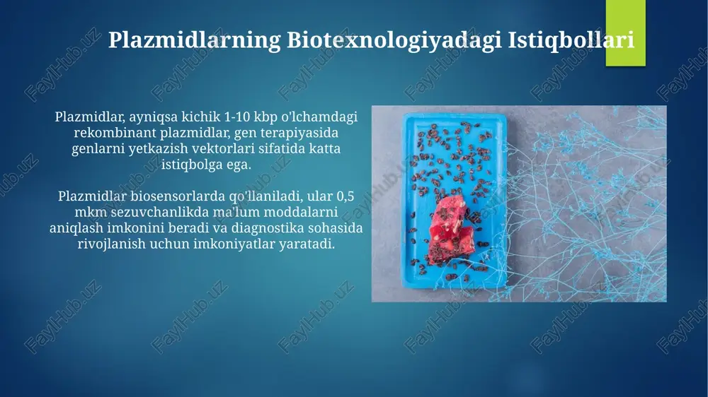 ishda ishlatiladi, bu bakteriyalarga inson insulini ishlab chiqarishga imkon beradi, bu esa diabetni davolash uchun juda muhimdir. plazmidlar vaktsinalar ishlab chiqarishda muhim rol o'ynaydi, ular virus oqsillarini kodlovchi genlarni tashish uchun ishlatiladi, bu esa immunitetni shakllantirishga yordam beradi va kasalliklarni oldini oladi. plazmidlarni ajratib olish va tozalash plazmid dnkni ajratish uchun ishqoriy lizi usuli hujayra devorini buzadi, so'ngra dnkni 10-15 daqiqa davomida santrifuga yordamida oqsillar va xromosoma dnksidan ajratadi. qizg'ish-silika ustunli tozalash usuli plazmid dnkni silikaga bog'lash orqali ajratib oladi, so'ngra yuvish buferlari bilan ifloslantiruvchi moddalarni yo'qotadi va 50-100 mkl erituvchi bilan dnkni elute qiladi. plazmidlar: kirish plazmidalar odatda bakteriyalarda mavjud bo'lgan halqasimon dnk molekulalaridir, ular xromosomal dnkdan ajralgan va 1,000 dan 250,000 bazaviy juftlikka ega bo'lishi mumkin. plazmidlar replikatsiya qilish uchun mustaqil avtonomiyaga ega, ya'ni ular hujayra bo'linishi paytida xromosomadan alohida ravishda o'z nusxalarini 10-25 taga ko'paytira oladi. e'tiboringiz uchun rahmat @taqdimot_robot image7.jpg image8.jpg image9.jpg image10.jpg image11.jpg image12.jpg image13.jpg …
