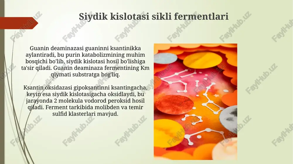 krebs sikli fermentlari izotsitrat degidrogenaza - bu krebs siklining muhim fermenti bo'lib, izotsitratni alfa-ketoglutarotga aylantiradi, shu bilan birga co2 chiqaradi va nadh hosil qiladi. krebs siklida ishtirok etuvchi fermentlar, masalan, sitrat sintaza, asetil-koa va oksaloasetatni birlashtirib, 6 uglerodli sitrat molekulasini hosil qilishda muhim rol o'ynaydi. glikoliz fermentlari piruvat kinaz oxirgi ferment bo'lib, fosfoenolpiruvatdan (pep) piruvat hosil bo'lishini katalizlaydi va adenozin trifosfat (atf) hosil qiladi, bu esa jarayon uchun asosiy energiya daromadi hisoblanadi. glikoliz fermentlari sitozolda joylashgan bo'lib, glyukozani piruvatga parchalashda 10 ta ketma-ket reaksiyani katalizlaydi, bu energiya ishlab chiqarishning muhim boshlang'ich bosqichidir. detoksifikatsiya fermentlari detoksifikatsiya fermentlari, masalan, sitoxrom p450 (cyp450) monooksigenazalari, ksenobiotik moddalarning 1-bosqich metabolizmida ishtirok etib, ularni osonroq chiqarib tashlash uchun qutbli qiladi. epoksid gidrolazalar epoksidlarni diollarga aylantirib, potensiya jihatidan reaktiv va zaharli epoksid metabolitlarining detoksifikatsiyasini katalizlaydi, ularning salbiy ta'sirini kamaytiradi. e'tiboringiz uchun rahmat @taqdimot_robot image2.jpg image3.jpg image4.jpg image5.jpg image6.jpg image7.jpg image8.jpg image9.jpg image10.jpg image11.jpg image12.jpg image13.jpg