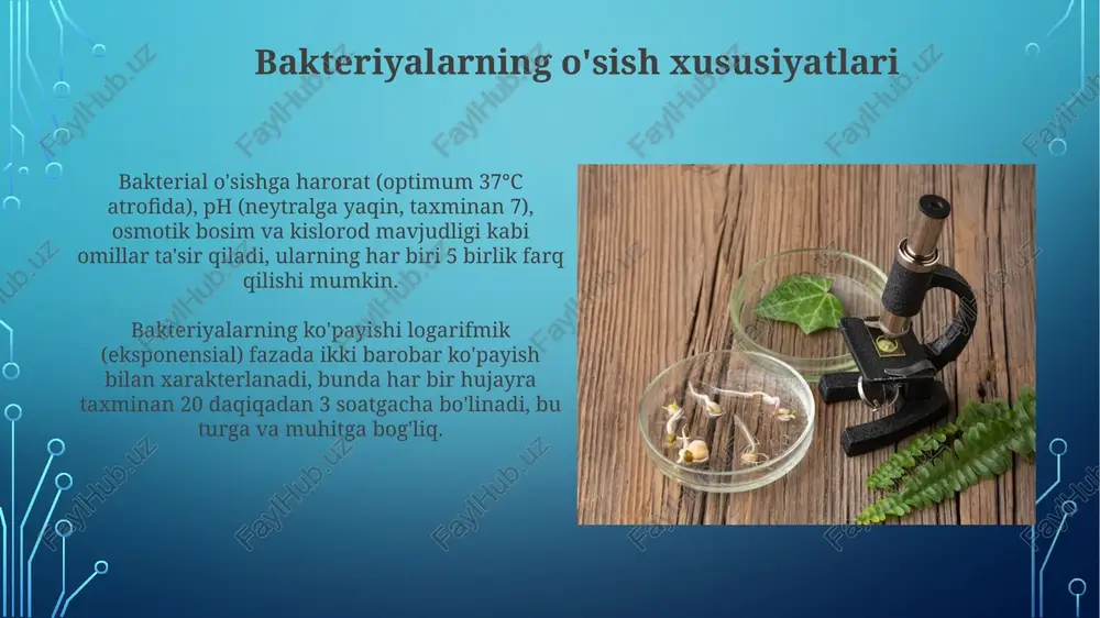 illari ba'zi bakteriyalarning o'sishi uchun zarur bo'lgan o'ziga xos organik birikmalar, masalan, aminokislotalar, purinlar, pirimidinlar yoki vitaminlar, chunki ular sintez qilolmaydi. murakkab muhitlar, masalan, qon agar yoki bulonlar, o'sish omillarini ta'minlaydi va ko'plab bakteriyalarning o'sishini qo'llab-quvvatlaydi, hatto ularning ozuqaviy talablari aniq bo'lmasa ham. transport o'sish muhiti ba'zi transport muhitlari, masalan, cary-blair muhiti, anaerob mikroorganizmlarni saqlash uchun kamaytiruvchi moddalar (masalan, tioglikolat) bilan ta'minlangan, bu ularning yashovchanligini oshiradi. transport o'sish muhiti mikroorganizmlarning yashovchanligini saqlab qoladi, ko'paytirmaydi. bu, masalan, klinik namunalar uchun diagnostika laboratoriyasiga yetkazilishida juda muhimdir. o'sish muhitining turlari (holatiga ko'ra) yarim qattiq o'sish muhitlari agar-agarning kamroq konsentratsiyasini (0,5-0,7%) o'z ichiga oladi va harakatchan bakteriyalarni o'rganish uchun qo'llaniladi. bu muhitlarda mikroorganizmlar 1-2 kunda tarqalishi kuzatiladi. qattiq o'sish muhitlari, agar-agar (1,5-2%) kabi qattiqlashtiruvchi moddalar qo'shilishi bilan hosil bo'ladi. ular mikroorganizmlar koloniyalarini ajratish va o'rganish uchun ishlatiladi, har bir koloniya 10^6 hujayradan iborat bo'lishi mumkin. anaerobik o'sish muhiti anaerob o'sish muhiti qat'iy anaeroblarni o'stirish …