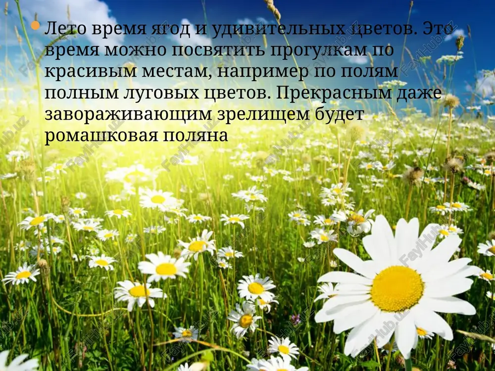 prezentatsiya na temu: «moe lyubimoe vremya goda» - Page 3