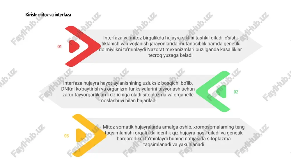 qiladi mutatsiyalarni kamaytiradi va organizm barqarorligini ta'minlaydi shu orqali yordam interfaza davomida hujayra dnk replikatsiyasi va organellalar ko'payadi, profazada xromatin siqilib xromosomalarga aylanadi va yadro pardasi parchalanadi. sentrozomalar tarqaladi va mitotik ixtisoslashgan struktura hosil bo'ladi. 1 profazada xromosomalarning kondensatsiyasi kuchayadi, nukleolus yo'qoladi, mikrotubul iplar shakllanib, sentrozomalar qarama-qarshi kutblarga siljiydi, xromosomalarda ikkita xromatida aniq ko'rinadi, kinetoxorlar tayyorlanadi, mitotik spindel tez paydo bo'ladi. 2 profaza mitotik jarayonning muhim bosqichi bo'lib, xromosomalarning to'g'ri taqsimlanishiga zamin yaratadi va keyingi metafaza uchun sharoit tayyorlaydi. kinetoxorlar paydo bo'ladi, mikrotubulalar ulanishni boshlaydi, nazorat yoqiladi. 3 03 metafaza mitozning markaziy bosqichi bo'lib, xromosomalar ekvatorial tekislikda joylashadi va spindle tolalari sentromerga biriktirilib, har bir xromatitadan teng genetik material to'g'ri va barqaror ravishda taqsimlanadi. 02 metafaza nazorati checkpointi noto'g'ri birikma aniqlansa, anafazaga o'tishni to'xtatadi; mikrotubulalar va kinetoxorlar funksiyasi hamda tension mexanizmi doimiy monitoring talab qiladi to'g'ri bog'lanishni va tenglikni ta'minlaydi. metafaza 01 metafaza muvaffaqiyati interfaza keyingi bosqichlar uchun shart, chunki …