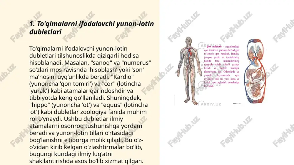 qqan sinonim so'zlarni anglatadi. bunday dubletlar ko'pincha ilmiy va tibbiy atamalarda uchraydi. masalan, "hepatit" so'zi yunoncha "hepar" (jigar) va lotinchadagi "-itis" (yallig'lanish) qo'shilmasidan kelib chiqqan. hozirgi kunda ko'plab fan va tibbiyot terminlarida bunday dubletlar keng qo'llaniladi, chunki bu tillar ilm-fan va texnologiya rivojida muhim rol o'ynagan. ushbu dubletlar talaffuzda va yozuvda farqlansa-da, ma'nodosh bo'lib, terminologiyada aniqlikni ta'minlaydi. ... t.me/slaydai_bot yunon-lotin dubletlari - ikki til o‘rtasida bir xil ma’noga ega bo‘lgan so‘zlar bo‘lib, ko‘pincha fan, tibbiyot va texnika sohalarida uchraydi. yunon tilidan kelgan so‘zlar odatda ilmiy terminologiyada uchraydi, masalan, "nefros" - buyrak degan ma’noni anglatadi. lotin tilidan kelgan dubleti esa "ren". ushbu dubletlar tarjima qilishda yoki ilmiy asarlarda foydalanishda qulaylik yaratadi. boshqa misollar: "kardio" (yunoncha) va "kor" (lotincha) - ikkalasi ham yurak ma’nosini bildiradi. bunday dubletlar til o‘rganishda va terminologiyada aniq ilgarilashga yordam beradi. ... t.me/slaydai_bot 7. yurak va qon-tomir tizimini ifodalovchi ae lar 7. yurak va qon-tomir tizimini ifodalovchi ae …