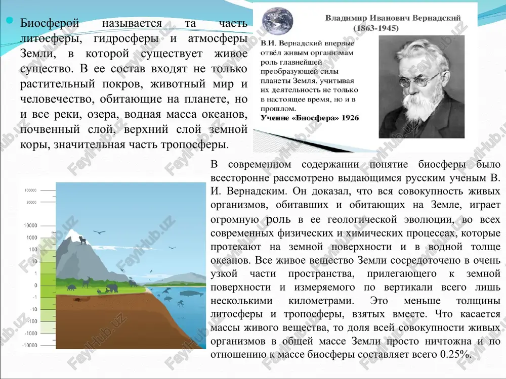 tvo rasseyannix atomov – eto sovokupnost vsex elementov, naxodyashixsya v atomarnom sostoyanii i ne vxodyashix v sostav nikakogo drugogo veshestva; 7) kosmicheskoe veshestvo – eto sovokupnost veshestv, popadayushix v biosferu iz kosmosa i imeyushix kosmicheskoe proisxojdenie (meteoriti, kosmicheskaya pil). takim obrazom, strukturnoy edinitsey biosferi slujit biogeotsenoz (ekosistema), sostoyashiy iz soobshestva jivix organizmov (biotsenoz) i sredi ix obitaniya (biotop). jivie organizmi ximicheski i biologicheski chrezvichayno aktivni. oni vipolnyayut 5 glavnix funktsiy: • energeticheskaya funktsiya – eto proyavlyaetsya v protsesse fotosinteza; • gazovaya funktsiya – proyavlyaetsya v migratsii gazov i ix prevrashenie mejdu jivimi organizmami i sredoy ix obitaniya (sozdayutsya takie gazi, kak azot, kislorod, uglekisliy gaz, serovodorod, metan i dr.); • kontsentratsionnaya funktsiya – proyavlyaetsya v nakoplenie v jivix organizmax biogennix elementov sredi. kontsentratsiya ximicheskix elementov v organizmax sotni i tisyachi raz bolshe, chem vo vneshney srede; • okislitelno-vosstanovitelnaya funktsiya – proyavlyaetsya v ximicheskom prevrashenii veshestv s peremennoy stepenyu okisleniya; • …