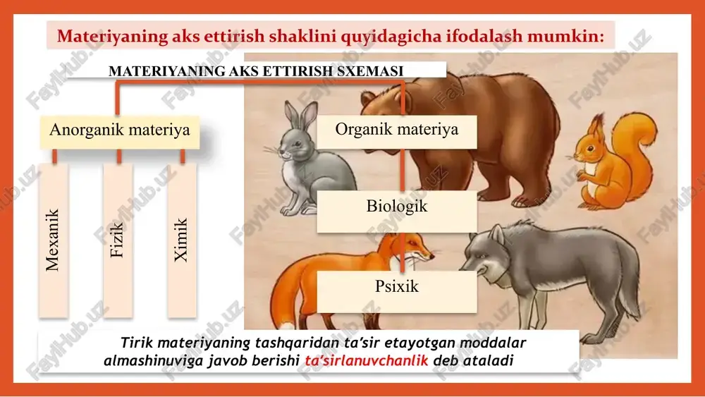 kabi sifatlar beramiz. hayvonlarda shunday harakatlar ko'rinadiki, bu harakatlardan bizga hayvon qanday bo'lmasin maqsadga yetish yo'llari yoki vositalarini tanlaganday, qanday bo'lmasin masalani hal etganday, avvalgi tajribani yangi sharoitga qarab tatbiq etganday tuyuladi inson va hayvon psixikasidagi farq: til va tafakkur qurol va yarog’ yasash inson o’zidan keyingi avlodga ijtimoiy tajriba qoldiradi hissiyot 13 ong – psixikaning yuksak shakli, insonning yakka va hamkorlik faoliyatida shakllanadigan ijtimoiy-tarixiy taraqqiyot mahsulidir ong - obyektiv haqiqatning eng yuqori psixik namoyondasi hamda faqat sotsial mavjudotga tegishli bo ‘igan o‘z-o‘zini boshqarishning eng yuqori sathidir. ong – obyektiv borliqni psixik aks ettirishning faqat insongagina xos yuqori usuli ong ta’riflari ong - anglash maqsadni ko’zlov-chi faoliyat subyekt-obyekt his-tuyg’ular olamidagi munosabatlar ong jamiyat mahsuli bo‘lib, faqat insongagina xosdir. hayvonlarda ong bo‘lmaydi. psixikaning quyi darajasi ongsizlik holatini tashkil etadi. ongsizlik ham psixik hodisa bo‘lib, voqelikni shunday aks ettirish formasidirki, bunda qilinayotgan ishlarga hisobot berilmaydi, ish harakatlar qayerda va qancha bajarilayotganini anglash …