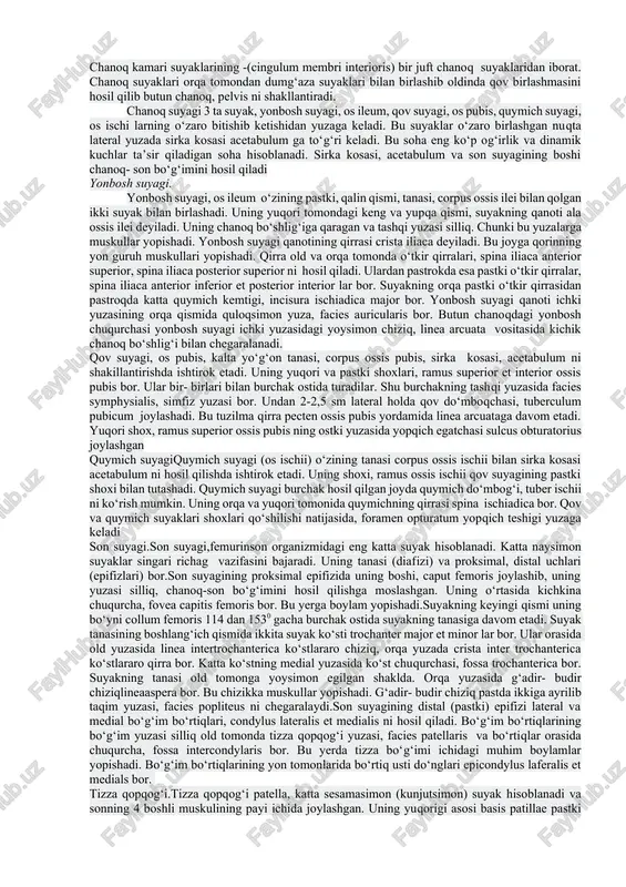 uberositas deltoidea ko‘rinib turadi. tananing orqa medial yuzasidan lateral va pastga yo‘nalgan spiral shaklidagi egat, sulcus n. radialis bor. yelka suyagining pastki, distal epifizi, suyakning bo‘g‘im bo‘rtig‘i, condylus humeri deyiladi. uning medial va lateral yuzalaridan bo‘rtiq usti do‘ngligi, epicondylus lateralis et medialis lari bor. yelka suyagi bo‘g‘im bo‘rtig‘i, condylus humuri suyakning boshchasi, capitulum humeri va g‘altagi trochlea humeri ga bo‘linadi. capitulum humeri bilak suyagining boshi, caput radii, g‘altagi, trochlea humeri esa tirsak suyagi kemtigi bilan bo‘g‘im hosil qiladi. yelka suyagining condylus humeri ning ustki qismida, old yuzada fossa coronoidea, orqa yuzada fossa olecrani bor. yelka suyagi g‘altagidan medialroqda tirsak nervi egati, sulcus nervi ulnaris joylashgan. tirsak suyagi ulna tirsak suyagining proksimal epifizi yo‘g‘onlashgan bo‘lib ikki o‘simta: orqa tomondagi nisbatan yo‘g‘onroq tirsak o‘simtasi, olecranon va oldingi kichikroq tojsimon o‘simta, processus coronoideus ga bo‘linadi. ikki o‘simtaning orasida g‘altaksimon kemtik, incisura trochlearis joylashib, yelka suyagi g‘altagi bilan bo‘g‘im hosil qiladi.tojsimon o‘simtaning bilak suyagi …