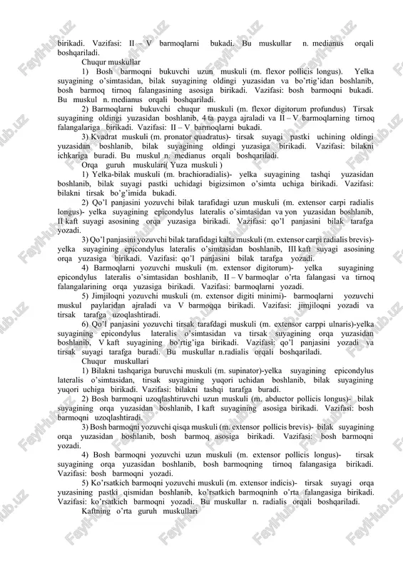 ng oldingi yuzasidan boshlanib, tirsak suyagining bo’rtig’iga birikadi. vazifasi: uzun boshchasi yelkani tanadan uzoqlashtiradi, ichki tarafga buradi. kichik boshchasi yelka kamarini tanaga yaqinlashtiradi, tashqi tarafga buradi. bu muskul n. musculocutaneus orqali boshqariladi. 3)tumshuqsimon yelka muskuli (m. corocobrachialis)- kurak suyagining tumshuqsimon o’simtasidan boshlanib, yelka suyagining medial yuzasiga birikadi. vazifasi: yelkani bukadi va yaqinlashtiradi. orqa gurux muskuli 1)yelkaning uch boshli muskuli (m. triceps brachii)- uzun boshchasi kurak suyagining bo’rtig’idan, tashqi boshchasi yelka suyagining orqa yuzasidan, ichki boshchasi yelka suyagining orqa yuzasidan boshlanib, bu boshchalar umumiy payga aylangan holda tirsak suyagining o’simtasiga birikadi. vazifasi: bilakni tirsak bo’g’imida yozadi. bu muskuli n. radialis orqali boshqariladi. 2)tirsak muskuli (m. anconeus)- yelka suyagining o’simtasidan boshlanib, tirsak suyagining orqa yuzasiga birikadi. vazifasi: bilakni tirsak bo’g’imida yozadi. bu muskul n. radialis orqali boshqariladi. bilak muskuli 2 guruxga bo’linadi: oldingi gurux muskuli. orqa gurux muskuli oldingi gurux muskuli( yuza muskuli ) 1) bilakni ichkariga buruvchi yumaloq muskuli (m. pronator …