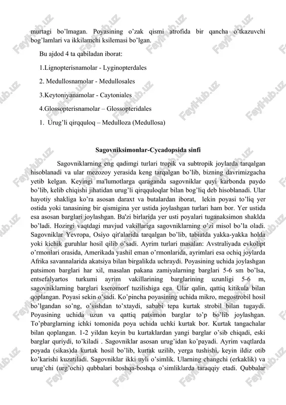 li qirqquloqsimonlar - lyginoptyeridopsida 2. sagovniksimonlar - cycadopsida 3. bennetitsimonlar - bennetittopsida 4. gnetumsimonlar - gnetopsida 5. ginkgosimonlar - ginkgopsida 6. qaraqaysimonlar - pinopsida 1,3 sinf (ajdod) vakillari faqat qazilma holda uchraydi. 2,4,5,6, sinflarning vakillari esa yer yuzida ancha keng tarqalgan. urug’liqirqquloqlar, ginkgonamolar, velvichiyanamolarning faqat bittadan turi mavjud. urug’li qirqquloqsimonlar -lyginopteridopsida yoki pteridospermae bu sinfga mansub turlar to’liq qirilib ketgan. ular yuqori devon davrida paydo bo’lib, toshko’mir davrida yer yuzasida keng tarqalgan, ayrimlari perm davrining oxirlarida o’sgan. urug’li qirqquloqlar daraxt, liana va o’t o’simliklarni o’z ichiga olgan. barglari yirik, katta murakkab patsimon, hozirgi qirqquloqlarning 190 vayyasiga (barg) o’xshash bo’lgan. xarakterli xususiyatlari ular urug’hosil qilgan, urug’lar yordamida ko’paygan, biroq, urug’lari juda sodda tuzilishga ega bo’lib, urug’ murtagi bo’lmagan. poyasining o’zak qismi atrofida bir qancha o’tkazuvchi bog’lamlari va ikkilamchi ksilemasi bo’lgan. bu ajdod 4 ta qabiladan iborat: 1.lignopterisnamolar - lyginopterdales 2. medullosnamolar - medullosales 3.keytoniyanamolar - caytoniales 4.glossopterisnamolar – glossopteridales 1. urug’li …