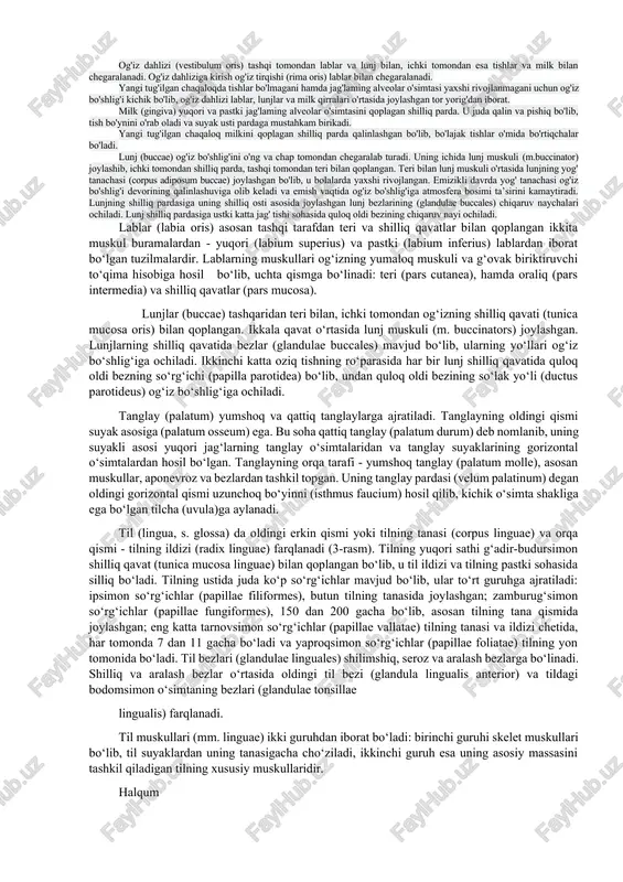 va so'rilmay qolgan ovqat moddalari yo'g'on ichakka o'tadi. bu yerda suv so'rilib, qolgan moddalardan axlat hosil bo'ladi. hazm a’zolari devorining tuzilishi hazm nayining devori umumiy tuzilishga ega bo'lgani bilan, har bir a’zoda uning vazifasiga qarab ayrim xususiyatlarga ega. hazm a’zolari ichki tomonidan shilliq qavat bilan qoplangan bo'lib, u shilliq osti qavat vositasida muskul qavatdan ajrab turadi. shilliq qavati (tunica mucosa) pushti rangda bo'lib, cho'ziluvchan, qalinligi 1—1,5 mm. uning yuzasi shilliq bezlari ishlab chiqargan shilliq bilan qoplangan. shilliq parda ustidan epiteliy bilan qoplangan bo'lib, u tashqi muhit hamda hazm a’zolari devori o'rtasida to'siq vazifasini bajaradi. bundan tashqari, bu epiteliydan hazm tizimi bezlari taraqqiy etadi. shilliq qavat yuzasida burmalar, vorsinkalar bo'lib, ular a’zolar yuzasini kattalashtiradi va ozuqa moddalaming so'rilishida ishtirok etadi. shilliq osti qavati (tela submucosa) biriktiruvchi to'qimadan tuzilgan bo'lib, unda qon va limfa tomirlar, nervlar, bezlar va limfoid follikulalar joylashgan. shilliq osti asosi yordamida shilliq qavat harakatchan bo'lib, burmalar hosil qiladi. …