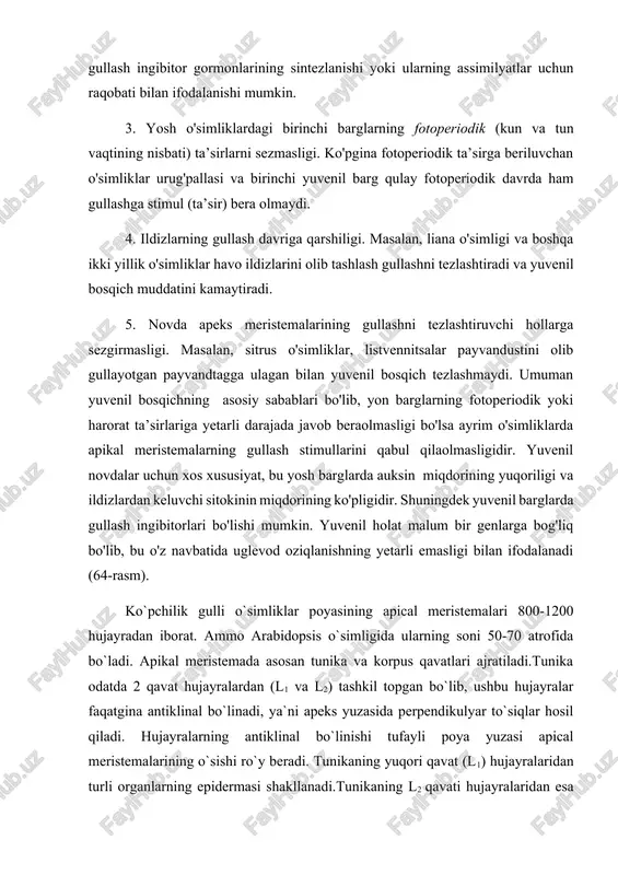 arglar nisbatining to'g'ri kelmasligi. masalan, soya, pomidori va boshqa ayrim o'simliklarning yosh barglarini yulib tashlash ularning gullashini tezlashtiradi. qari barglarni yulish esa gullashni sekinlashtiradi. bu yosh barglarda gullash ingibitor gormonlarining sintezlanishi yoki ularning assimilyatlar uchun raqobati bilan ifodalanishi mumkin. 3. yosh o'simliklardagi birinchi barglarning fotoperiodik (kun va tun vaqtining nisbati) ta’sirlarni sezmasligi. ko'pgina fotoperiodik ta’sirga beriluvchan o'simliklar urug'pallasi va birinchi yuvenil barg qulay fotoperiodik davrda ham gullashga stimul (ta’sir) bera olmaydi. 4. ildizlarning gullash davriga qarshiligi. masalan, liana o'simligi va boshqa ikki yillik o'simliklar havo ildizlarini olib tashlash gullashni tezlashtiradi va yuvenil bosqich muddatini kamaytiradi. 5. novda apeks meristemalarining gullashni tezlashtiruvchi hollarga sezgirmasligi. masalan, sitrus o'simliklar, listvennitsalar payvandustini olib gullayotgan payvandtagga ulagan bilan yuvenil bosqich tezlashmaydi. umuman yuvenil bosqichning asosiy sabablari bo'lib, yon barglarning fotoperiodik yoki harorat ta’sirlariga yetarli darajada javob beraolmasligi bo'lsa ayrim o'simliklarda apikal meristemalarning gullash stimullarini qabul qilaolmasligidir. yuvenil novdalar uchun xos xususiyat, bu yosh barglarda auksin …