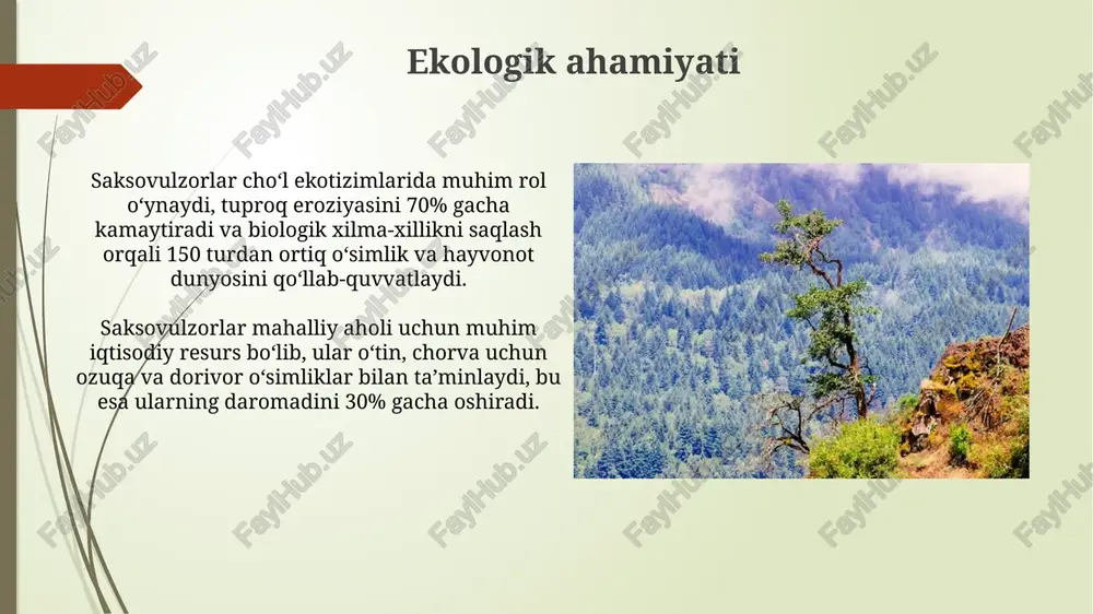 adi. tuproqni muhofaza qilishdagi roli saksovul o'rmonlari organik moddalarni tuproqqa qaytarib, unumdorligini oshiradi, 1 gektarda 5-7 tonna barg to'kilishi hisobiga 1-2% gacha gumus miqdorini ko'paytirishi mumkin. saksovul o'rmonlari unumdor tuproq qatlamini shamol eroziyasidan himoya qiladi, chunki ularning ildizlari tuproq zarralarini bog'lab, yuzlab gektar maydonda chang bo'ronlarining oldini oladi. turlari va biologik xususiyatlari saksovulning urug'lari tez unuvchanligi bilan ajralib turadi, lekin unuvchanlik darajasi 50-60% ni tashkil etadi va ularning fiziologik tinim davri qisqa - atigi 2-3 oy. saksovulning ildiz tizimi juda chuqurga ketadi, ba'zan 10-12 metrgacha yetadi va gorizontal yo'nalishda ham keng tarqaladi, bu esa ularga qurg'oqchilikka chidamli bo'lishga yordam beradi. foydalanish va iqtisodiy ahamiyati saksovul qumlarni mustahkamlashda va cho'llashga qarshi kurashda muhim rol o'ynaydi. qo'shimcha ravishda, undan tibbiyotda foydalanish imkoniyatlari ham mavjud. saksovul o'tin sifatida qimmatli bo'lib, mahalliy aholi uchun energiya manbai hisoblanadi. bir tonna saksovul taxminan 300-350 aqsh dollari qiymatga ega bo'lishi mumkin. o'rmon xo'jaligi va tiklash usullari tuproq …