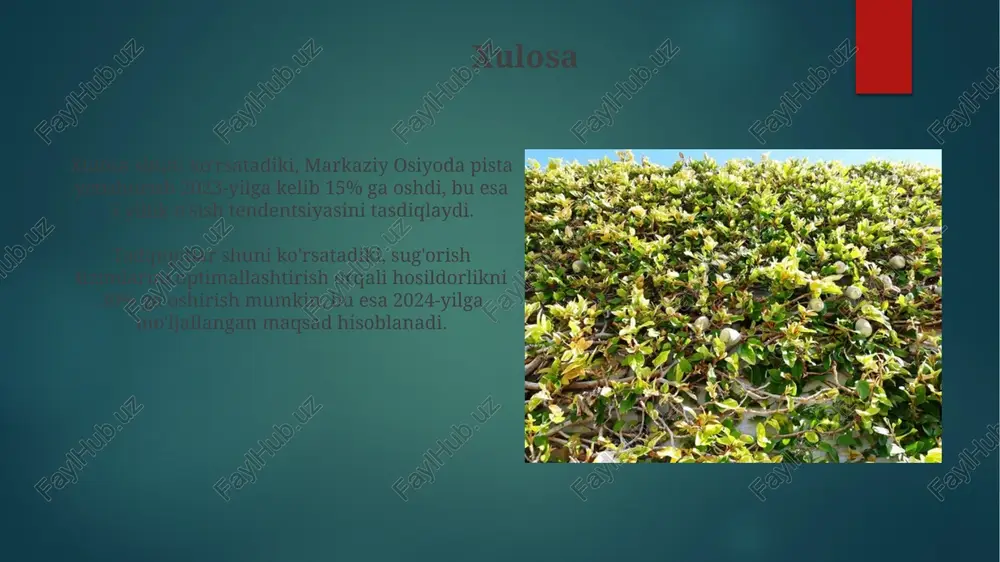 daryo viloyatida eng katta pista plantatsiyalari mavjud, ular 10000 gektardan ortiq maydonni egallaydi va bu mintaqa pista yetishtirish bo'yicha asosiy hudud hisoblanadi. iqlim va tuproq talablari pistalar yiliga 300-400 mm yog'ingarchilikka muhtoj, lekin gullash davrida namlik yuqori bo'lsa, hosil kamayishi mumkin; yaxshi shamollatiladigan hududlar kerak. pistalar yaxshi qurigan, kaltsiy karbonatga boy tuproqlarda, ph darajasi 7 dan 8 gacha bo'lgan sharoitda o'sadi, chunki ildiz chirishiga moyil bo'ladi. pista navlari "pista navlari" o'rta osiyoda 10 dan ortiq turli xillarga ega bo'lib, ularning har biri hosildorlik, ta'm va kasalliklarga chidamlilik kabi noyob xususiyatlarga ega. ba'zi "pista navlari" juda erta gullaydi, ya'ni fevral oyida, boshqalari esa aprel oyi oxirida gullaydi, bu esa har xil iqlimga moslashish imkonini beradi. saqlash usullari pista saqlashda 8-10% namlik darajasini ta'minlash muhim, chunki undan yuqori namlik mog'or paydo bo'lishiga olib keladi, bu esa mahsulot sifatini buzadi va saqlash muddatini qisqartiradi. sovuq xonalarda 0-5°c haroratda saqlash yaxshi natija beradi, bu …