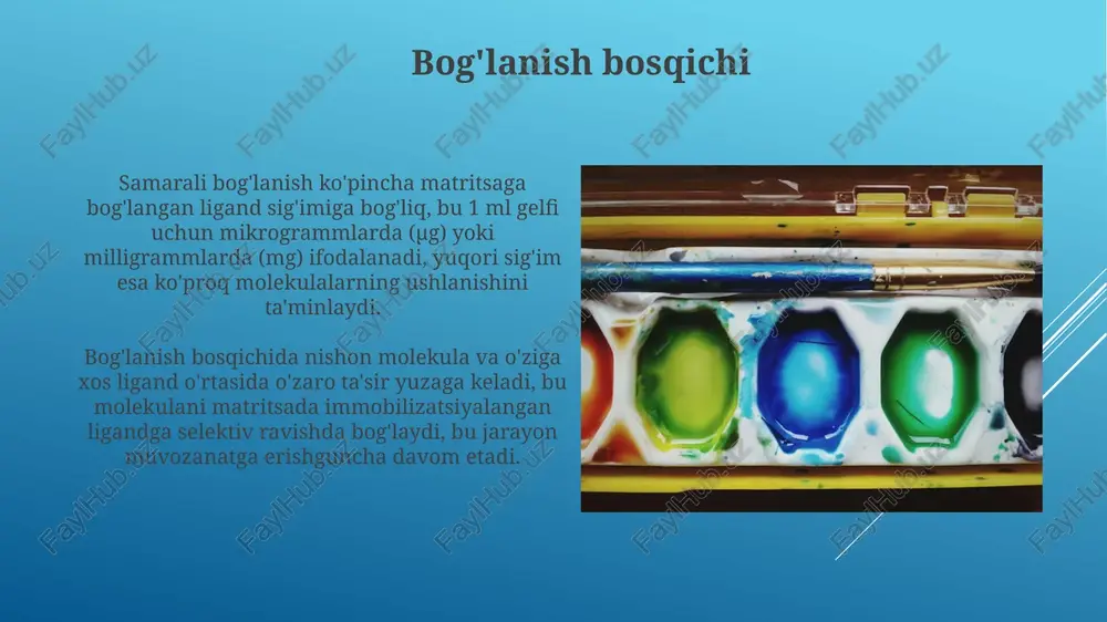 jralib chiqishini oldini oladi va fermentlar kabi 20-50 nm o'lchamdagi biomolekulalarni immobilizatsiya qilish uchun foydalidir. yuvish bosqichi agar noo'rin bog'lanish sodir bo'lsa, yuvish bosqichiga 0,1 dan 0,5 m gacha bo'lgan natriy xlorid kabi tuz eritmasini qo'shish, elektrostatik o'zaro ta'sirlarni buzishga yordam beradi. yuvish eritmasining optimal ph darajasi 7.0 dan 8.0 gacha bo'lishi kerak, shuningdek, u matriksga xalaqit bermaydigan va maqsadli birikmani bog'lab turadigan past ion kuchiga ega bo'lishi kerak. elusiya bosqichi ion almashinuvchi affin xromatografiyasida elusiya yuqori ionli eritma (masalan, 0.5-1 m nacl) yordamida amalga oshiriladi, bu bog'langan moddalarni siqib chiqaradi. maxsus raqobatbardosh ligandlarni (10-100 mm) ishlatish, elusiya bosqichida analitning affinlik matritsasiga bog'lanishi uchun matritsaga kiritilib, ajratishga erishiladi. ilovalar: antitanalarni tozalash elütatsiya bosqichi ph 2.5-3.0 atrofida bo'lgan nordon buferlar yordamida amalga oshiriladi, bu esa antitananing oqsil-ligand kompleksidan ajralib chiqishiga olib keladi va 95% dan ortiq poklikka erishiladi. immunoglobulinlarni ajratib olishda a yoki g oqsili bilan qoplangan qatronlar qo'llaniladi, chunki ular …