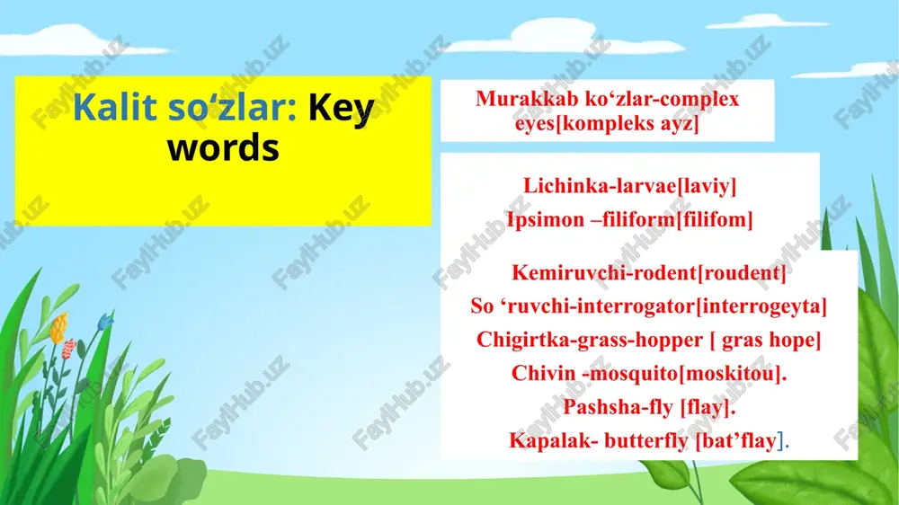 , kapalaklar, chumolilar va boshqa juda ko'pchilik hasharotlaming oyoqlari xuddi shunday tuzilgan. chigirtkalar, chirildoqlar, temirchaklam- ing oyoqlari sakrovchi tipda bo'lib, keyingi oyoqlarining son va bolder bo‘g‘imi kuchli rivojlangan. yer qazuvchi buzoqboshilaming oyoqlari kalta kurakka o‘xshash, o‘tkir xitin tishchalar bilan ta’minlangan. suv qan dalalari va qo ‘ng ‘izlarining orqa oyoqlari kengayib uzun tuklar bilan qoplangan eshkakni hosil qiladi. gul changini yig'uvchi arilar orqa oyog‘ining boldir qismida maxsus chuqurchadan iborat savatcha hosil bo‘ladi. be shiktebratarlaming oldingi oyoqlari tutuvchi organga aylangan. hasharotlarning qanotlari ko‘krak qismining yon tomonidagi tana qoplag'ich burmasidan kelib chiqqan qanot juda yupqa ikki qavat plastinkaga o‘xshash bo‘lib, har ikkala qavat o‘rtasida juda tor tirqish bo‘ladi. bu tirqish tana bo‘shlig‘ining davomi hisoblanadi. qanotlardagi to‘rlar xitin naychalardan iborat. naychalar orqali traxeyalar va nerv tolalari o‘tadi. to‘rlar qanotlar uchun tayanch vazifasini ham bajaradi. qanotda- gi to‘rlaming shakli sistematik guruhlami aniqlashda katta ahamiyatga ega. . qanot bo‘ylab joylashgan to‘rlar ko- stal, subkostal, radial, median, …