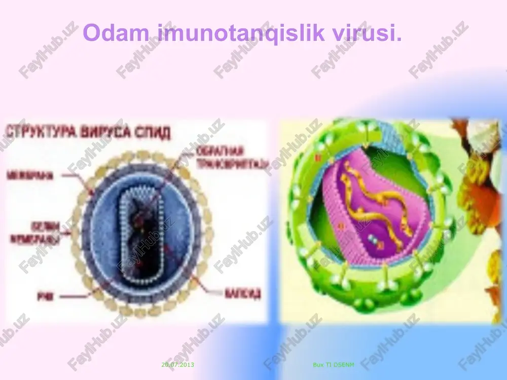dan bemorga bemordan tibbiy xodimga ishlatilgan shprits va ignalar qayta ishlatilganda tibbiy xodimlarga oiv infektsiyasi kasb vazifalarini bajarish vaqtida bemorga oiv infektsiyasini yuqishi birmuncha kam holatda uchraydi www.themegallery.com 15 v lechebno-profilakicheskix uchrejdeniyax virusi, peredayushiesya cherez krov, mogut peredavatsya ot infitsirovannogo patsienta meditsinskomu rabotniku, ot infitsirovannogo meditsinskogo rabotnika patsientu i ot patsinta patsientu. razmer strelok ukazivet na sami bolshoy risk peredachi ot patsienta meditsinskomu rabotniku. peredacha ot medrabotnika patsientu xarakterizuetsya naimenshim riskom. peredacha ot patsienta k patsienta obichno predpolagaet naurshenie protsedur infektsionnog kontrolya, takix kak nekachestvennaya obrabotka instrumentov ili zagryaznennie flakoni s mnogorazovimi dozami. 20.07.2013 bux ti dsenm qon yoki biologik suyuqliklar bilan ishlovchi tibbiyot xodimlarining jarohatlanishi (bsst ma`lumotlari) www.themegallery.com 16 16 data from nash show that nurses sustain the highest percentage of percutaneous injuries. however other patient-care providers (such as physicians and specialized technicians), laboratory staff and support personnel (such as housekeeping and maintenance staff) are also at risk. [ …