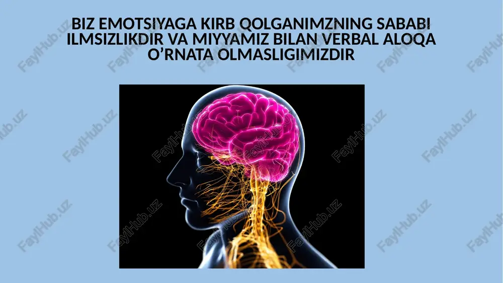 meno'z sahifamda biz - Page 3