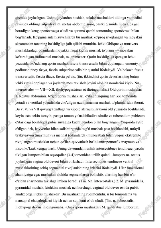 n medial. rectus, linea alba tomonidan aponeurosis qarama-qarshi tomonning bir xil aponeuroziga ulanadi. m. obliqus internus abdominis o'zining tashqi va ichki yuzasi bilan fasya plitalari bilan qoplangan. (tin. nn. intercostales x—xii, iliohypogastricus et ilioinguinalis.) 3. m. transversus abdominis, transversalqorin mushaklari, barcha keng qorin mushaklarining eng chuqur va eng nozik qismidir. oltita pastki qovurg'aning ichki yuzasidan boshlanadi. diafragma yuqorida uning davomi m. tranversus thoracis hisoblanadi. keyinchalik pastga va orqa mushak fascia thoracolumbalis chuqur bargidan kelib chiqadi va nihoyat, ilyak tizmasining pastki qismida va inguinal ligamentning uchdan ikki qismida joylashgan. ushbu joylardan boshlab, tolalar mushaklari oldinga va medial ravishda oldinga siljiydi va m. rectus abdominisning pastki qismida linea alba ga boradigan keng aponevrozga o'tadi va qarama-qarshi tomonning aponevrozi bilan bog'lanadi. ko'pgina sutemizuvchilarda bu mushak ko'proq rivojlangan va moyakni skrotumdan tananing bo'shlig'iga jalb qilishi mumkin. ichki oblique va transvers mushaklardagi odamlarda moyakka faqat kichik mushak to'plami — moyakni ko'taradigan rudimental mushak, m. cremaster. …