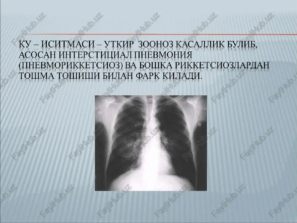 chang havo va shuningdek, paxta, somon, jun kukunlari bilan nafas olish natijasida yuqishi mumkin. rikketsiyalar bilan ifloslangan va uzoq joydan keltirilgan paxta va jun bilan ishlayotgan kishilarga ham kasallik chang – havo yo'li bilan osongina yuqadi . ku isitmasi bemordan sog' odamga yuqmaydi. transmissiv yo'l. kana orqali yuqishi kam uchraydi. tayga o'rmonlarida, cho'l zonalarida ishlaydigan kishilarni kana chaqishi mumkin. qo'zg'atuvchi teri, havo yo'llari va me'da ichak yo'llari shilliq qavati orqali organizmga kiradi. rikketsiyalar retikuloenedoteliy organlarida ko'payadi va qonga tushib, bakteremiyaga sabab bo'ladi. bakterimiya ma'lum vaqt davom etgach, rikkketsiyalar ichki organlarga o'rnashib oladi. qo'zg'atuvchi havo yo'llari orqali yuqqanda, kasallik zotiljamdan boshlanadi. immunitet mustahkam va uzoq bo'ladi. ku –isitmasi bilan kasallanganlar qayta kasallanishga moyil emas ( kamdan –kam uchrashi mumkin). o'tkir boshlanish; tana haroratining yuqori tez ko'tarilishi; ko'z qovoqlarida og'riq; yuzning giperemiyasi; skleral qon tomir in'ektsiyasi; jigar va taloqning kattalashishi; asosan interstitsial pnevmoniyaning rivojlanishi. ku–isitmasining boshqa yuqumli kasalliklardek o'ziga xos belgilar majmuasi …