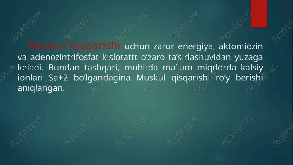 a va kichik koʻkrak muskullari, oʻmrov usti va oldingi tisheimon muskullarga boʻlinadi. tashqari qovurgʻalar-aro muskullar qovurgʻalarni koʻtaradi, ichki muskullar esa nafas olish va chikarishda ishtirok etadi. qorin muskullari tashki va ichki qiyshiq muskullar, qorinning koʻndalang va toʻgʻri muskullari, shuningdek, belning kvadrat muskulidan tashkil topgan. qorin muskullari toʻgʻri tanani oddinga bukadi, qiyshiq muskullari yon tomonlarga egilishini taʼminlaydi. bu muskullar qorin pressini tashkil etib, asosiy funksiyasi qorin aʼzolarini funksional qulay holatda ushlab turishdan iborat. bundan tashqari, qorin pressi muskullarining qisqarishi siyish, ichak boʻshashi, tugʻish jarayonlarini taʼminlaydi. qorin muskullari fassiya bilan krplangan. muntazam mashq qilib, jismoniy ish bilan shugʻullanib muskul tolalarida miofibrillarni koʻpaytirish va shu tarika muskul kuchini oshirish mumkin. barcha muskullarning asosiy xususiyati ularning qisqarishidir, bunda muayyan ish bajariladi. muskullar kuchi muskul tolalaridagi miofibrillar soniga bogʻliq; yaxshi rivojlangan muskullarda ular koʻp, suyet rivojlanganlarida kam. yuz va boshning barcha muskullari 2 guruhga: mimika va chaynov muskullariga boʻlinadi. ular yuz mimikasida, chaynashda va pastki …