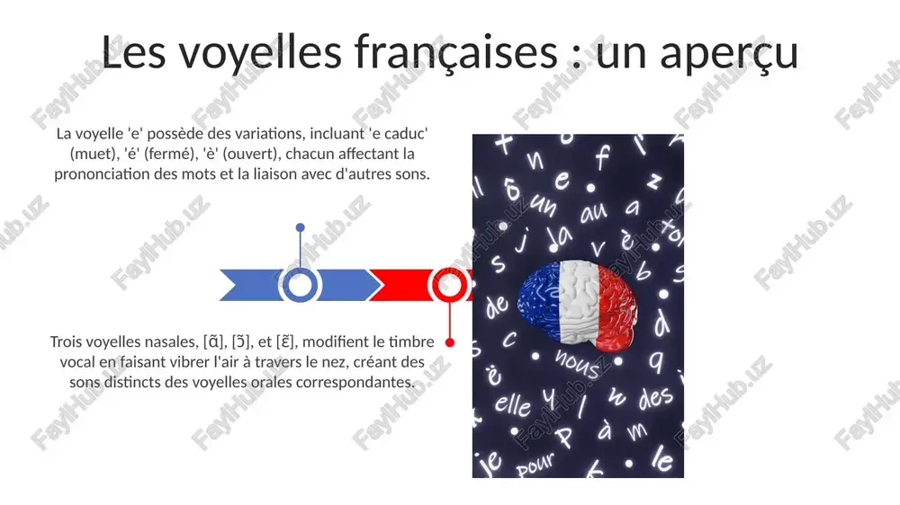 d'élision, comme dans 'les hommes'. nous espérons que cette présentation a clarifié certains aspects de la prononciation française, notamment la distinction entre les sons /u/ et /y/, cruciaux pour une communication claire. ressources utiles pour la prononciation le site web 'le point du fle' propose des exercices interactifs axés sur la phonétique française, avec plus de 100 activités pour maîtriser les 36 phonèmes et sons nasaux distinctifs. forvo.com offre une vaste base de données de mots prononcés par des locuteurs natifs, permettant d'entendre plus de 5 millions de prononciations différentes et d'améliorer l'écoute active. l'alphabet et les sons de base la prononciation des voyelles en français est cruciale ; « e » peut avoir plus de 3 sons différents, et des combinaisons comme « au » et « eu » créent des sons distincts, par exemple /o/ et /ø/. les consonnes finales en français sont souvent muettes, sauf dans certains …