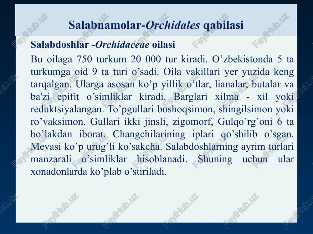 salabdoshlar-orchidaceae oilasi - Page 3