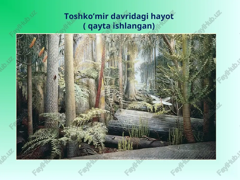 kirish. yuksak o’simliklar sistematikasi - Page 3