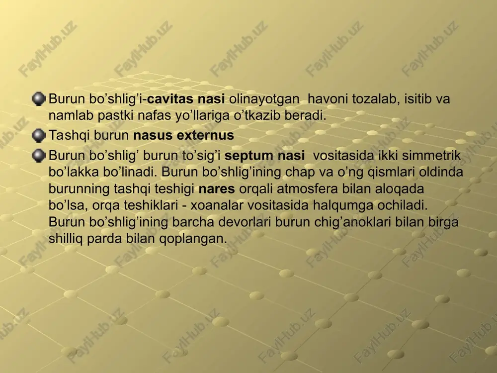lish va yo’talishda faol ishtirok etadi. kekirdakning shilliq pardasi hilpillovchi kiprikli epiteliy bilan qoplangan. shilliq parda limfoid to’qima va shilliq bezlariga juda boy. bronxlar. kekirdak v ko’krak umurtqasining yuqori cheti tengligida ikkiga, ya’ni chap va o’ng bosh bronxlar, bronchi principales (bronchus, yunoncha – nafas naychasi) dexter et sinister ga bo’linadi. ular deyarli to’g’ri burchak ostida yo’naladi va o’z tomonidagi o’pkaning darvozasi tomon yo’naladi. o’ng bosh bronx chap bosh bronxga nisbatan kaltaroq va kengroq. chap bronx esa deyarli ikki marta uzun. agar o’ng bosh bronx 6-8 ta tog’ay halqadan iborat bo’lsa, chap bosh bronx 9-12 ta tog’ay halqadan tuzilgan. o’ng bronx deyarli vertikal joylashgani uchun, uni kekirdakning davomi deyish mumkin. o’ng bronxning ustidan v. azygos-toq vena o’tib, qori qavat venaga quyiladi. chap bosh bronxning ustida esa aorta yoyi arcus aortae yotadi. bosh bronxlarning shilliq pardasi kekirdakning shilliq pardasiga o’xshash tuzilgan. tirik odam bronxlarining shilliq pardasi ko’zdan kechirilganda (bronxoskopiya), uning rangi kulrangroq; …