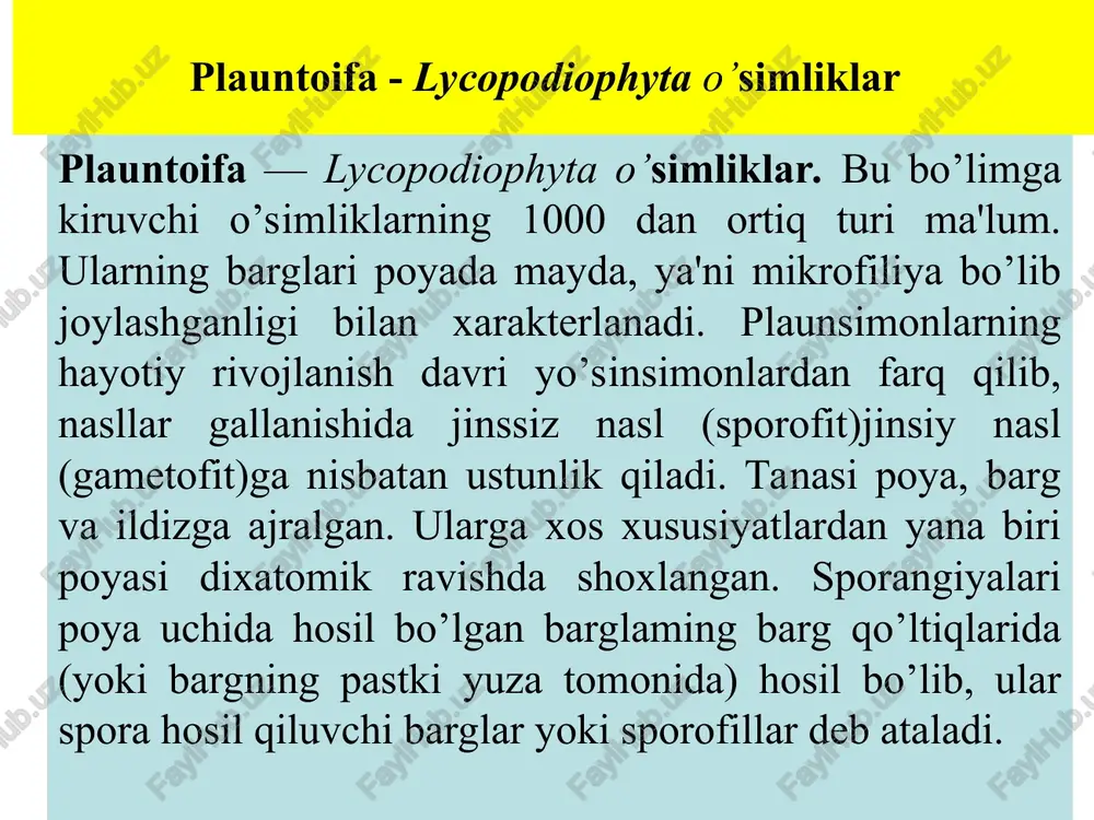 a bitta selaginelladoshlar-selaginellaceae va bitta selaginella-selaginella turkumiga mansub 700 ga yaqin turni o’z ichiga oladi. turkum turlari, asosan. tropik va subtropik zonalarda tarqalgan. qabilaga kiruvchi o’simliklar oldingi qabila vakillaridan sporangiylarda yetilgan sporalarining mayda (mikrospora) va yirikligi (makrospora) bilan farqlanadi. selagasimon selaginella - selaginella selaginoides selagasimon selaginella- selaginella selaginoides nam o’tloqlarda va torfli botqoqliklarda uchraydi. poyasi ko’pincha dixotomik ravishda shoxlar hosil qiladi. poya va shoxlarini mayda barglar qoplab turadi. selaginellalar ham sporangiylarda hosil bo’lgan sporalar yordamida ko’payadi. sporagoniylar shoxlarning yuqori tomonida to’p-to’p bo’lib joylashib, spora hosil qiluvchi boshoqchalarga aylanadi. mikrosporangiylarda bir nechta mikrosporalar, makrosporangiylarda esa tikansimon parda bilan o’ralgan to’rtta yirik makrospora vujudga keladi. sporalar sporangiylar devorining yorilishi natijasida tarqaladi. selaginella - selaginella qulay sharoitga tushgan mayda sporalardan otalik gametofit yuzaga keladi. u reduksiyalangan bo’lib, bitta anteridiydan ikki xivchinli spermatozoidlar hosil bo’ladi. yirik sporalarda esa onalik gametofitlari vujudga keladi. gametofit spora pardasining ichida rivojlanib, sekin-asta uchburchak shaklda tashqariga yorib chiqadi, lekin …