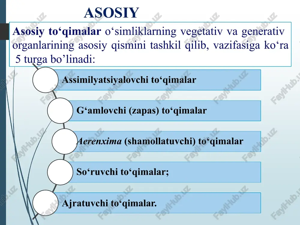 ddalar tinim davridan so‘ng o‘zlashtiriladi. g‘amlovchi to‘qimalar yupqa devorli tirik parenxima hujayralardan iborat bo’lib, ularda oziq moddalar qattiq va suyuq holatda to‘planadi. qattiq holda - kraxmal, oqsil kristallari (kartoshka tugunaklarida va piyozdoshlarning urug‘ida) yoki aleyron donachalari shaklida, suyuq holda esa - lavlagi ildizmevalar, sabzi piyozboshlilar, shakar qamish, uzum, tarvuz, qovun va boshqalarda uchraydi. 2-rasm. s. longa turi ildizpoyasi ko'ndalang kesmasining anatomo-gistologik tuzilishi. g’amlovchi to’qimalar: bir pallali o‘simliklarda organik oziq moddalar poya va urug‘larda to‘planadi. ko‘pchilik o‘simlik urug‘larida maxsus oziq modda to‘plovchi to‘qima – endosperm va perisperm bo‘ladi. o‘simlik turiga qarab urug‘lar endospermida turli moddalar to‘planadi. bug‘doy, sholi, arpalarda kraxmal, no‘xot va loviyalar urug‘larida erimaydigan oqsil va kraxmal, kanakunjut urug‘ida oqsil va moylar, kungaboqar, kunjut, yong‘oq kabilarda esa moy to‘planadi. to‘plangan moddalar hujayralarda erigan yoki erimagan holatda bo‘ladi. yoz davomida to‘plangan organik moddalar bahorda murtak va kurtaklarning o‘sishi va rivojlanishiga sarf bo‘ladi. ikki pallali o‘t o‘simliklarda organik moddalar asosan poyaning o‘zak …