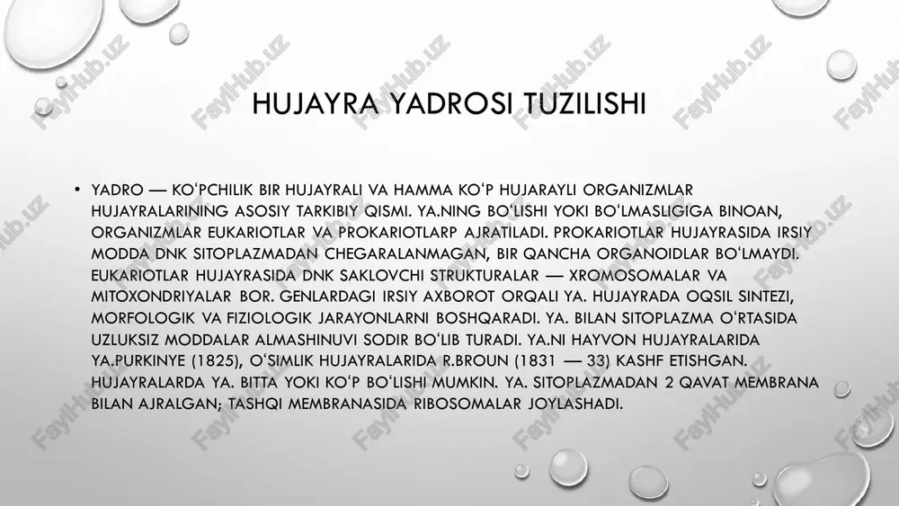 romatin deb ataladi. siz dnk, xromatin va xromosomalar haqida koʻproq maʼlumotni dnk va xromosomalar mavzusidan oʻqib, bilib olishingiz mumkin. • ribosomalar • yuqorida taʼkidlab oʻtilganidek, ribosomalar oqsil sintezini amalga oshiruvchi hujayra qismidir. ribosoma rnk va oqsillardan hosil boʻlib, har bir ribosoma katta va kichik birlikchalar deb nomlanuvchi ikkita alohida rnk-oqsil kompleksidan tashkil topgan. katta qism kichik qismning ustida joylashadi va informatsion rnk ikkitasining orasidan oʻtadi. (ribosoma gamburgerga oʻxshab ketadi.) • eukariotlarda ribosomalar oqsil sintezi uchun buyruqlarni yadrodan oladi. yadroda dnk qismlari (genlar) informatsion rnk (irnk) hosil qilish uchun transkripsiyalanadi. bu irnk ribosomaga koʻchadi. ribosoma ushbu maʼlumotlar yordamida muayyan aminokislotalar ketma-ketligidagi oqsillarni yaratadi. bu jarayon translyatsiya jarayoni deb ataladi. prokariotlarda yadro boʻlmagani sababli irnk sitoplazmada dnkdan transkripsiyalanadi va shu zahoti ribosomalar translyatsiya jarayonini boshlaydi. hujayra qobig’i va hujayra tarkibi • hujayra hujayra qobig‘i va uning ichidagi tirik qism (borliq) dan iborat. tirik qism sitoplazma va mag‘izdan tashkil topgan. • hujayra qobig‘i …