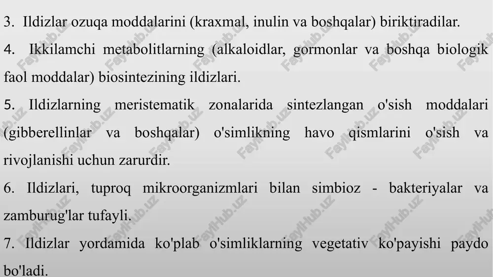 b, poya bilan ildiz bo’g’izi orqali tutashadi. bu ildiz poyaning davomidek bo’lib ko’rinadi. shuning uchun ham ba’zi adabiyotlarda uni ildizpoya deyiladi. o’q ildizda asosiy ildiz murtak (embrion) o’sib chiqqandan so’ng, undan yon ildizlar yuzaga keladi. ular akropetal yo’l bilan, ildizning o’sish nuqtasidan yuqoriroqda, ya’ni so’ruvchi zonadan o’sib chiqadi. o’qildiz asosan ikki pallali o’simliklarga xos bo’ladi, shu bilan birga bu xil o’simliklarning ba’zisida (masalan, zubturumda) o’qildiz yaxshi rivojlanmaydi. o’qildiz cho’l sharoitida o’suvchi o’simliklarda (yantoq, shuvoq, ko’kparang lagoxilus, saksovul va boshqalarda) ayniqsa uzun — 5-15 m va ko’proqqa etadi. yon ildizlar endogen (endo-ichki) yo’l bilan, ya’ni ichki perisikl hujayralarining bo’linishi natijasida birlamchi yog’ochlik bog’lamlari qarshisida do’mboqchalar (bo’rtmalar) ko’rinishida hosil bo’ladi va to’g’ri qator holida joylashib, akropetal tartibda shoxlanadi. hosil bo’lgan bo’rtma o’sib o’qildizning birlamchi po’stlog’idan o’ziga yo’l ochib tashqariga tomon o’sadi. yon ildizlar o’z navbatida tarmoqlanib, har bir tarmoqdan ikkilamchi, uchlamchi yon ildizlar rivojlanadi. o’simliklarda o’qildiz, yon ildizlardan tashqari qo’shimcha ildizlar ham …