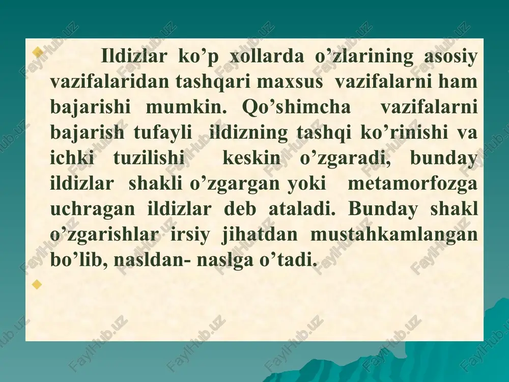 lanadi va ustunga o’xshab daraxt tanasini ko’tarib turadi. xodul ildizlar ildiz bakteriya tuganaklari dukkakli o’simliklar ildizlarida maxsus tuganak hosil qiluvchi bakteriyalar yashaydi. ular dukkakli o’simlik ildizida simbioz holda yashashga moslashgan. bu bakteriyalar tuproqdan ildiz tukchalari orqali uning po’stloq parenximasiga kiradi va zudlik bilan ko’payadi. shuning uchun ham ildizning shu joyi bo’rtib tuganak hosil qiladi. shu sababli bu bakteriyalar tuganak bakteriyalari deb ataladi. ildiz bakteriya tuganaklari bakteriyalar dukkakli o’simliklar ildizidan azotsiz organik moddalarni, xavodan esa erkin azotni o’zlashtirib, azotli moddalarni hosil qiladi. bu moddalardan o’z navbatida dukkakli o’simliklar ham foydalanadi,shu bilan birga tuganaklarda to’plangan azotli moddalar tuproqni boyitadi. mikoriza ko’p o’t o’simliklarning ildizlari ham zamburug’lar bilan simbioz holda yashashi mikoriza deb ataladi. zamburug’ o’simlikni suv va mineral moddalar bilan ta’minlanishiga yordam berib, o’zi o’simlikdan uglevod va boshqa moddalarni oladi. mikoriza tuziliga ko’ra ikki asosiy turga ajratiladi: tashqi (ektotrof) va ichki (endotrof) mikoriza. mikoriza ektotrof mikorizada o’simlik ildizining uchki qismini zich g’ilof …