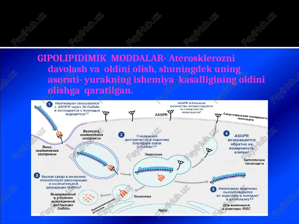 gipolipidimik moddalar - Page 3