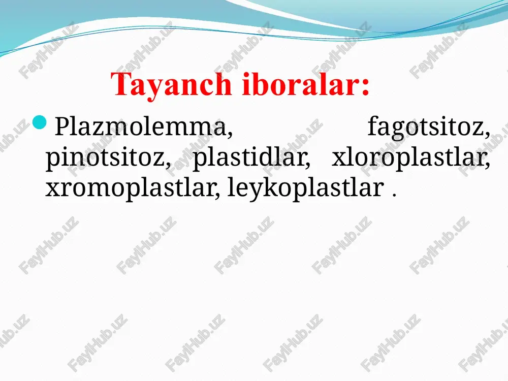 hosil qiladi. anafazada mikronaychalar xromosomalar sentromerasi va organoidlar bilan birikib, ularni qutblarga tortadi. tuban o‘simliklarda, suvo‘tlari, ba’zi zamburug‘lar va sodda hayvonlarda hujayra markazi aniqlanmagan. yuksak o‘simliklardagi mikronaychalar tartibsiz, bir-biriga birikmagan va sentriolalarni hosil qilmaydi. ularda bo‘linish urchug‘i sentriola ishtirokisiz amalga oshadi. shunday bo‘lsa-da hujayra bo‘linayotganda xromosomalarni mikronaychalar tortadi. bu jarayon fermentlar yordamida boradi. interfazaning s — davrida sentriolalar ko‘payib oladi. g2 — davrida esa tartibsiz mikronaychalar tarkibiga kiruvchi tubulin oqsili sintezlanadi. shuning uchun sentriolalar o‘z-o‘zidan ko‘payadi deyiladi. hujayra markazi. ribosoma ribosoma. oqsil sintezini amalga oshiruvchi membranasiz organoid bo‘lib, eukariot va prokariotlarda ham uchraydi. lekin prokariotlarning ribosomasi kichikligi va kimyoviy tuzilishi bilan eukariotlarnikidan farq qiladi. o‘lchami taxminan 20x30 nm; hujayrada bir qancha millionlab uchrashi mumkin. ribosoma ikkita — katta va kichik subbirlikdan iborat. har bir subbirlik oqsillar bilan rrnk kompleksidan iborat. eukariot hujayralardagi ribosoma (80 — subbirlik) katta subbirlik (60 — s) va kichik subbirlik (40 — s) (lot. sedimentum — …
