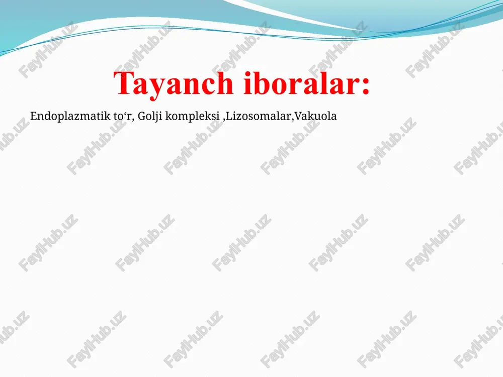 di. ushbu moddalar pufakchaga o‘ralib, sitoplazmaga chiqariladi. pufakchalar hujayra membranasi tomonga borib, hujayra membranasining tarkibiga kirishi mumkin (glikoproteinlar) yoki hujayradan tashqariga chiqib ketishi mumkin (insulin gormoni), hujayra kiritmalari sifati- da saqlanishi (zein, kazein, albumin va h.k.) va boshqa holatlarda bo‘lishi mumkin. ribosomada sintezlangan oqsillar birlamchi struk- turada (sodda) bo‘ladi, golji kompleksida 2, 3, va hatto 4-(murakkab) struktura holatiga keladi. donador endoplazmatik to‘rdan kelgan fermentlar golji kompleksida membranaga o‘ralib, birlamchi lizosomalarni hosil qiladi: demak, golji kompleksida endoplazmatik to‘rdan sintezlanib kelgan oqsillar, lipid va uglevodlar ma’lum shaklga keltiriladi, konsentrlanadi va hujayra- ning kerakli joyiga jo‘natiladi. bundan tashqari golji kompleksidan birlamchi lizosomalar shakllanadi. hujayra qismlari shu jumladan hujayra membranasining shakllanishida va tiklanishida golji kom- pleksining o‘rni katta.