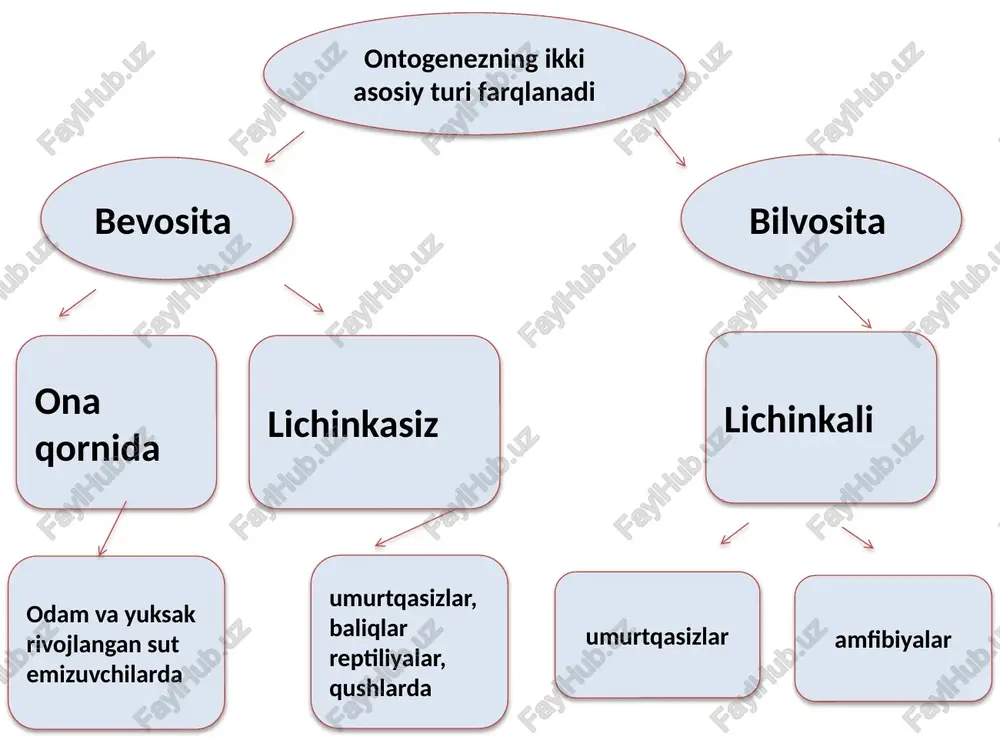 natijasida dnk sintezining buzilishi moddalar almashinuvining mutagen bo’lgan oraliq moddalarning yig’ilishi, normal va anormal oqsillarning sintezi garmonlar tomonidan genlar boshqariluvining susayishi hisobiga ma’lum bir genlarning repressiyasi va ekspressiyasi hisobiga organizmning qarishi, qarilik va o’lim. qarilik o’z-o’zini boshqarish mexanizmlarining chegaralanish natijasidir. qarilik belgilari rivojlaninshning molecular, hujayra, to’qima, sistema va organism darajasida yuzaga chiqadi: molekular darajada rnk dagi axborartlarni o’qishdagi xatoliklar hisobiga ma’lum bir oqsillarning sintezi buziladi, sitoplazmada erkin radikallar to’planadi, metotik faollik pasayadi, xromosoma aberatsiyalari kuchayadi. ammo ko’pchilik gomeostatik ko’rsatkichlar o’zgarmaydi hujayra darajasida sitoplazmada suv kamayadi, ionlarning aktiv transporti o’zgaradi, glikoliz kuchayadi. yurakda, miyyada, skelet muskullarida atf va keratin fosfat miqdori kamayadi, rnk va dnk o’zgaradi organizm darajasida tashqi belgilar: tana shakli va o’lchamlarining kichrayishi, soch oqarishi, teri elastikligining buzilishi, ko’rish, eshitish va eslash qobiliyatlarining pasayishi, suyakning kompakt va g’ovak moddasining ingichkalashishi. o’pkaning tiriklik sig’imi kamayadi. arterial bosim, ateroskleroz ortadi. jisiy garmonlar funksiyasi kamayadi, qalqonsimon bez funksiyasi susayadi qarilikni o’rganuvchi fanlar: …