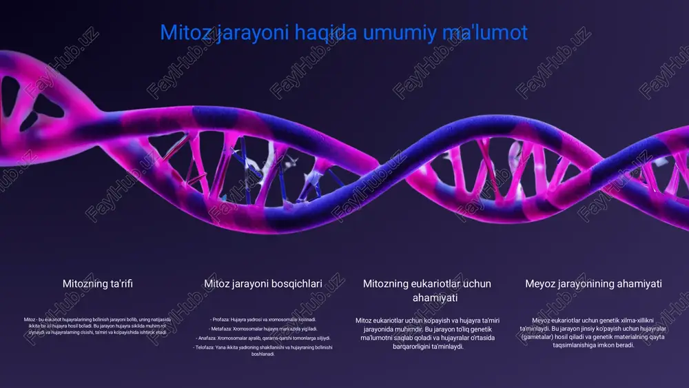 g ahamiyati� meyoz jarayoni haqida� meyoz jarayoni - bu eukariot hujayralarining ko'payishini ta'minlaydigan murakkab jarayon. u ikki bosqichdan iborat bo'lib, i va ii meyozdan tashkil topadi, bu jarayon natijasida hujayralar soni ikki barobar kamayadi va genetik xilma-xillik yaratiladi.� eukariotlarni ko'paytirishda o'rni� meyoz jarayoni eukariotlar uchun jinsiy ko'payishning asosiy mexanizmi hisoblanadi. bu jarayon gametalar (urug' hujayralari) ishlab chiqarishga olib keladi, bu esa yangi avlodlarning genetik xilma-xilligini ta'minlaydi.� meyoz jarayonining misoli� meyoz jarayoni inson va hayvonlar organizmlarida uchraydi, masalan, insonning tuxum va spermatozoid hujayralarini ishlab chiqarishda. bu jarayon orqali hujayralar genetik ma'lumotlarni birlashtiradi.� meyoz jarayoni va uning ahamiyati� meyoz jarayoni eukariotlarning ko'payishidamuhimrol o'ynaydi, chunki u genetik xilma-xillikni oshiradi va avlodlar o'rtasida farqlarni yaratadi. bu, o'z navbatida, evolyutsiya jarayonlariga ijobiy ta'sir ko'rsatadi.� genetik diversifikatsiya va uning mohiyati� genetik diversifikatsiya tushunchasi� genetik diversifikatsiya - bu organizmlarning genetik xususiyatlarining xilma-xilligini anglatadi. bu jarayon, turli genotiplar va fenotiplarning paydo bo'lishiga olib keladi, natijada organizmlar yangi muhit …