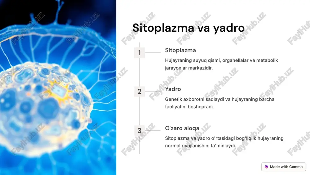 sitologiya va evkariotlar - Page 3