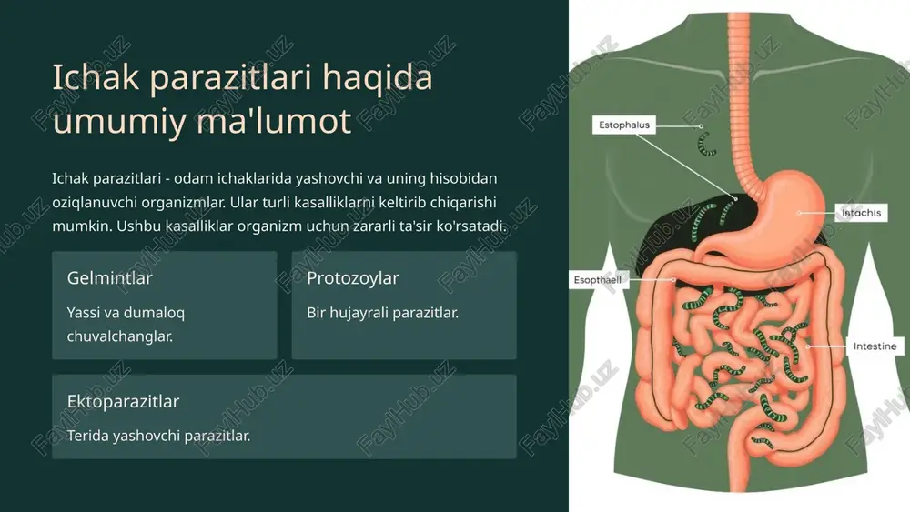 ichak parazitlari: dizenteriya amöbasi - Page 3