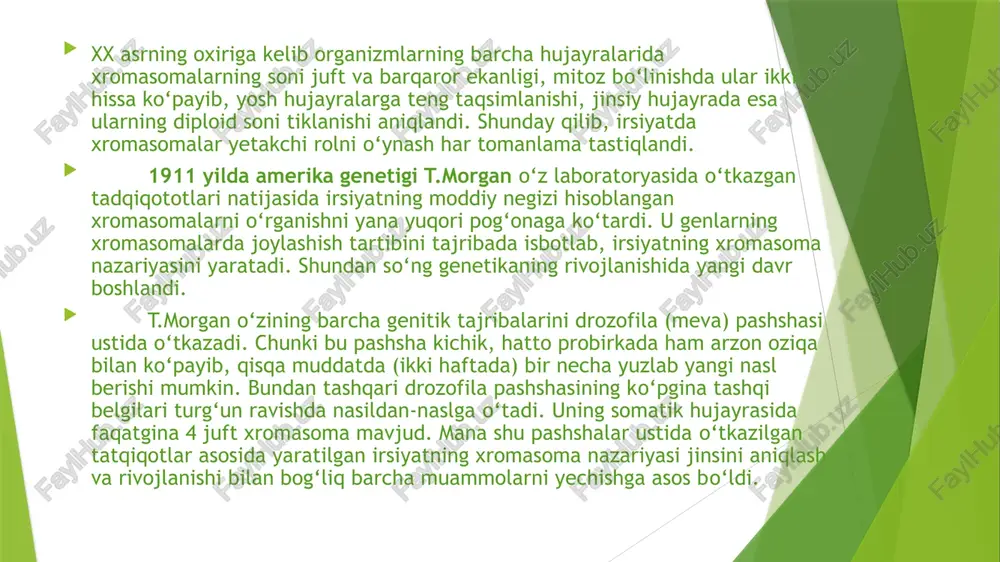 chiqishga sabab bo‘ladi. urug‘lanayotgan tuxum hujayrada bitta x xromasoma o‘rniga ikkita xx xromasoma bo‘lib qolishi yoki birorta ham jinsiy xromasoma bo‘lmasligi mumkin. bunday tuxum hujayra normal spermatozoid bilan urug‘lanishi natijasida hosil bo‘lgan zigotadan xromasoma kasaligiga mubtalo bo‘lgan organizm vujudga keladi. tuxum hujayralarning hosil bo‘lishida jinsiy xromasomalar qutblarga teng taqsimlanmasligi natijasida odamda kelib chiqadigan xromasoma kasalliklari qo‘yidagilardir: 1.klaynfelder sindromi (44 xxu) erkaklarda uchraydi. organizmda jinsiy bezlar rivojlanmaydi va sprmatozoid hasil bo‘lmaydi. bunday kishilar pushtsiz (naslsiz) bo‘ladi. ularning qo‘l va oyoqlari proporsional rivojlanmaydi, organizm aqliy rivojlanishda normal holatga nisbatan orqada qoladi. 2.trisomiya sindromi (44 xxx) qiz bolalarda uchraydi. bu kasallikka mubtalo bo‘lganlarda tuxumdon bulmaydi, ikkinchi darajali jinsiy belgilar ham rivojlanmaydi, organizm naslsiz bo‘ladi. kasallangan kishilar juda ham past bo‘yli bo‘lib, aqliy rivojlanishda orqada qoladi, tez qariydi. 3.shereshevskiy-terner sindromi (44 x) ayollarda uchraydi. bu kasallik ko‘p jixatdan trisomiya sindromiga o‘xshaydi. jins genetikasi hayvonlar va o‘simliklarda erkak va urg‘ochi organizmlar nisbati 1 : 1 …