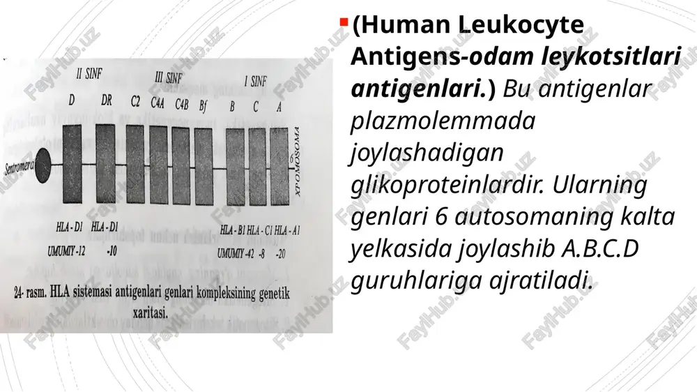 antropogenetika usullari - Page 3