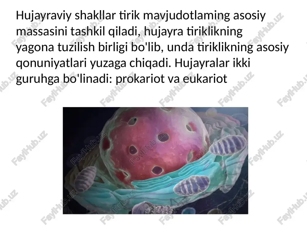 prokariot va eukariot hujayralarning umumiy tuzilishi - Page 3