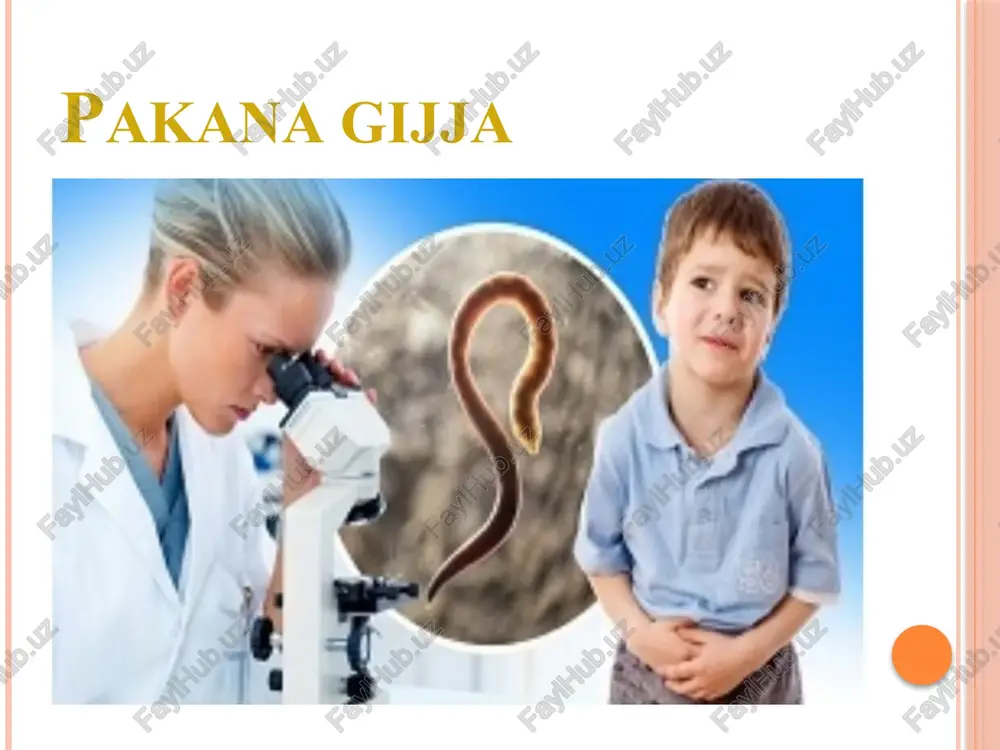 oʻlib jigar, o'pka va boshqa ichki organlarni jarohatlaydi. exinokokk lichinkasi qoramol, qoʻy, echki, chuchqa, tuya, bugʻu, eshak hamda odam oraliq xoʻjayin sifatida yashaydi. exinokokklar uchun itlar, boʻrilar, tulkilar va boshqa goʻshtxoʻralar asosiy xoʻjayin hisoblanadi. exinokokklarning voyaga yetgan gijjalari asosiy xoʻjayinlarning ingichka ichagida tekinxo'rik qilib yashaydi. tulki, boʻri, bursiq, chiyabo'ri va itlar ahlati bilan to'proqqa, suvga, oʻtga, sabzavotlarga va xaqozolarga gijja tuxumlari tushadi. asosan, bizda itlar gijja tashuvchilar hisoblanib it tumshugʻiga va junlariga exinokokk tuxumlari yopishib qoladi, itni silab-siypalaganda, uy jihozlariga yaqinlashtirilganda, exinokokk tuxumlarini suv, oziq-ovqatlar, sabzavotlar bilan yutib yuborilganda yoki ularni ifloslangan qoʻl bilan ogʻizga solganda, koʻkatlarni, meva-sabzavotlarni yaxshilab oqar suvda yuvmasdan chala yuvilgan holda iste'mol qilinganda exinokokk tuxumlari odamga yuqadi. agar qoramollar, qoʻylar va echkilar, itlar iflos qilgan yerda yotsa, tuxumlari shu uy hayvonlarini juniga tushishi, junidan esa ularni parvarish qilishda, sogʻishda, junini qirqishda, odamning qoʻliga o'tishi orqali yuqishi mumkin. odam organizmiga tushgan exinokokk tuxumlarining ustki pardasi erib ketadi …