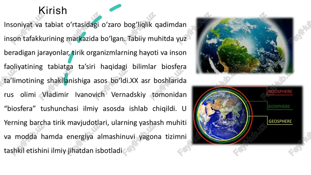 i hisoblanadi, unda o‘simliklar, hayvonlar, mikroorganizmlar va boshqa tirik mavjudotlar o‘zaro ta’sirda bo‘lib, modda va energiya aylanishini ta’minlaydi. noosfera esa bu tizimning yangi bosqichi bo‘lib, inson aql-idroki va faoliyatining hukmronligi ostida biosferaning evolyutsiyasi natijasida yuzaga keladi. biosfera va noosferaning o‘zaro ta’sirida insonning roli alohida o‘rin tutadi. vernadskiy ta’limotiga ko‘ra, inson "jonli modda"ning eng yuqori shakli bo‘lib, uning aqli orqali biosfera evolyutsiyasi noosferaga o‘tadi. bu jarayonda inson nafaqat tabiatdan foydalanadi, balki uni o‘zgartiradi: masalan, sun’iy suv omborlari qurish, genetik muhandislik orqali yangi organizmlar yaratish yoki qayta tiklanadigan energiya manbalarini joriy etish. bunday o‘zgarishlar biosferaning barqarorligini ta’minlashga xizmat qilishi mumkin, ammo noto‘g‘ri boshqarilganda ekologik falokatlarga olib keladi. masalan, sanoat rivojlanishi havoni va suvlarni ifloslantirib, biologik xilma- xillikni kamaytiradi. shu sababli, biosfera va noosferaning bog‘liqligi insoniyat oldiga mas’uliyat yuklaydi – tabiatni saqlash va uni aqlli boshqarish zarurati xulosa biosfera va noosferaning o‘zaro bog‘liqligi insoniyatning tabiatdagi o‘rnini belgilab, barqaror rivojlanish g‘oyasi orqali kelajakni shakllantirish …