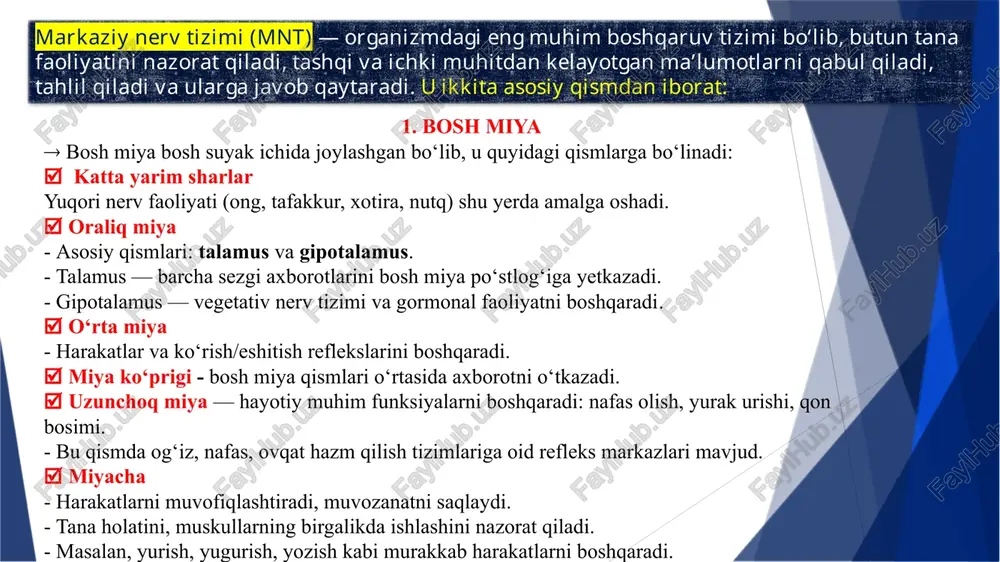 oliyat  markaziy nerv tizimi reflekslar orqali organizmning tez va avtomatik javob berishini ta’minlaydi.  refleks — bu organizmning tashqi ta’sirga avtomatik javobi.  har bir refleksda 5 qism ishtirok etadi:  reseptor (ta’sirni qabul qiladi)  sezuvchi tola (ta’sirni miyaga olib boradi)  markaz (bosh yoki orqa miya)  harakatlantiruvchi tola (javobni olib chiqadi)  javob beruvchi organ (muskul, bez va h.k.) misollar:  qo‘l issiq narsaga tegsa, darrov tortib olinadi.  ko‘zga narsa tekkanda avtomatik ravishda ko‘z yumiladi. oliy nerv faoliyatini ta’minlash  oliy nerv faoliyati (onf) — bu ongli faoliyat, tafakkur, nutq, eslab qolish, xulq-atvor va hissiyotlarni o‘z ichiga oladi.  onf faqat odamga xos bo‘lib, bosh miyaning katta yarim sharlaridagi miya po‘stlog‘ida amalga oshadi.  bu faoliyat orqali inson: ▬ fikrlaydi ▬ nutq so‘zlaydi ▬ qiyin vaziyatlarda to‘g‘ri qaror qabul qiladi ▬ eslaydi va tajriba orttiradi ▬ hissiy holatlarni boshqaradi № funksiya nomi qisqacha tavsifi misollar …